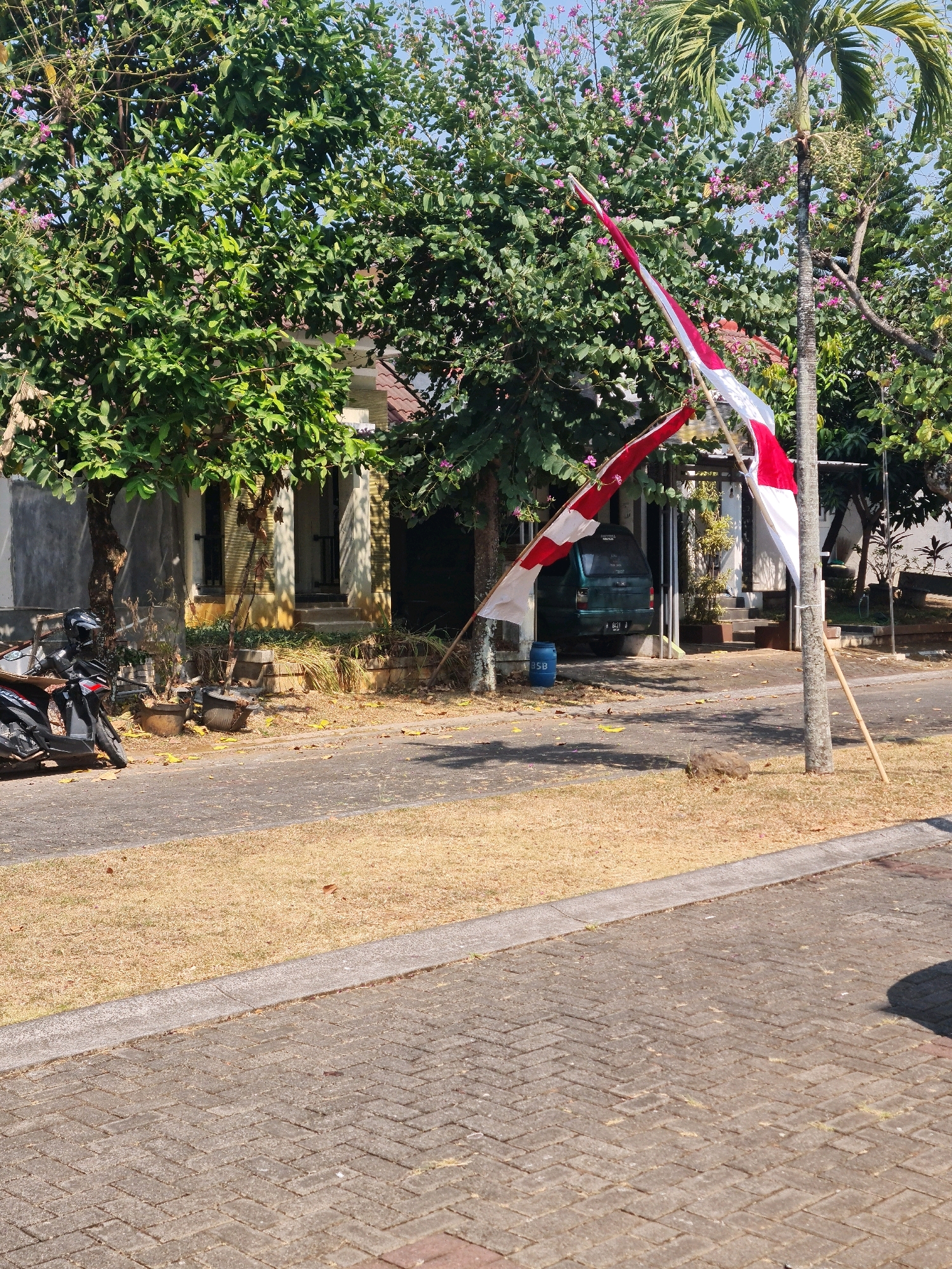This image captures a residential scene in Semarang, Indonesia, featuring an Indonesian flag displayed prominently. The flag, with its red and white bands, is attached to a wooden pole, which is supported by two additional wooden stakes. It appears to be a sunny day, as indicated by the bright lighting and shadows.
In the background, a house with a light-colored facade and dark window frames is visible. The house is partially obscured by lush green trees, some of which are adorned with small pink flowers. A palm tree stands to the right of the flag pole.
In front of the house, a dark green car is parked in a driveway. A blue barrel is situated next to the car.
To the left of the frame, a black motorcycle is parked on the paved road. The road is bordered by dry, light-brown grass. The foreground shows a paved walkway made of interlocking bricks.
The overall environment suggests a typical residential area, likely a neighborhood in Semarang, with elements of Indonesian culture represented by the national flag. The scene is static, with no visible human activity.