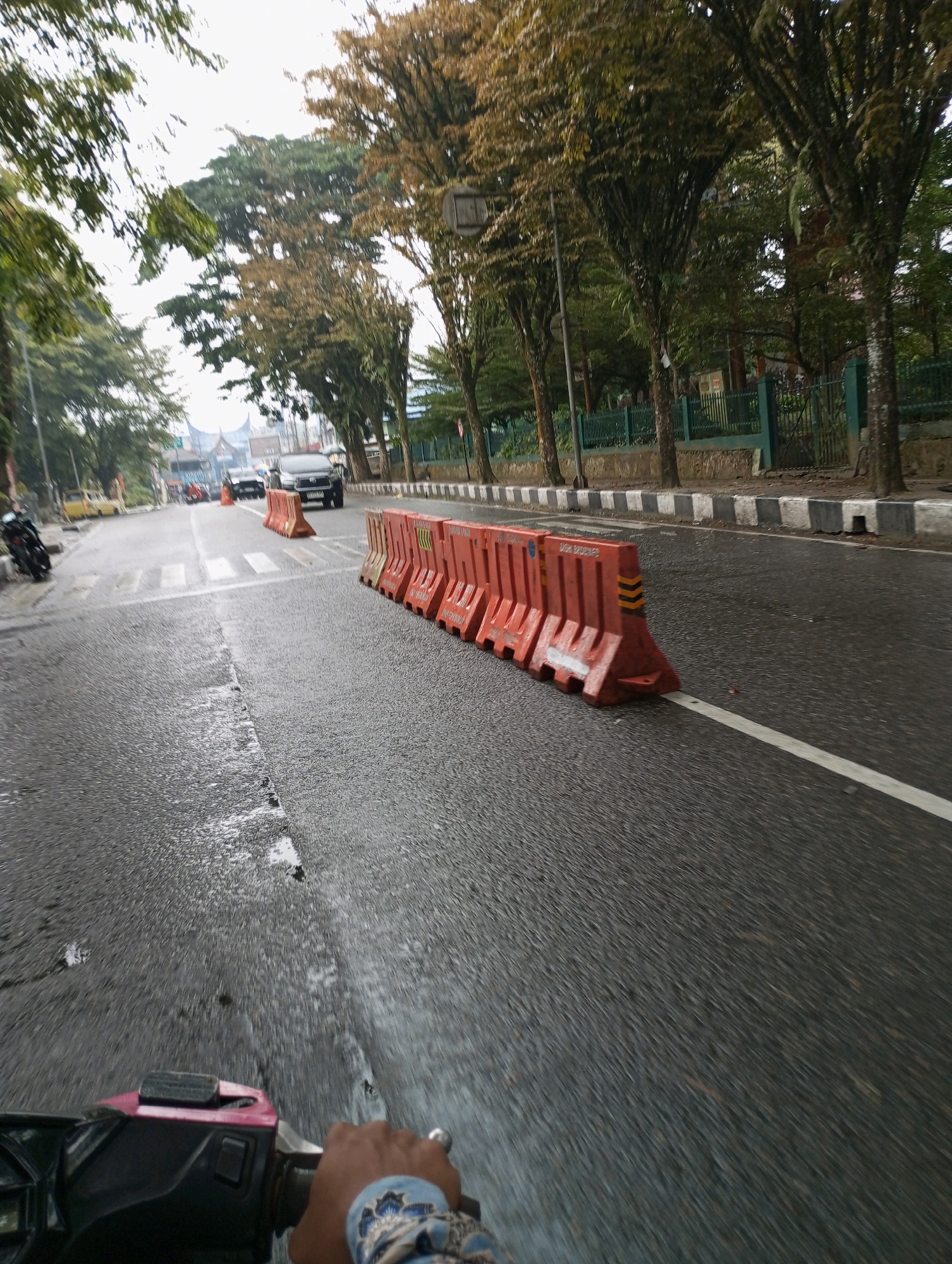 The image captures a view from the perspective of a motorcycle rider on a wet road in Padang Panjang, Indonesia. The rider's gloved hand is visible in the foreground, gripping the handlebar of a pink and black scooter. The road ahead is lined with orange plastic barriers, suggesting a temporary road closure or traffic diversion. In the background, several vehicles, including a black SUV, are visible on the road, along with a pedestrian crossing. Lush green trees line the sides of the road, their branches laden with leaves. The sky appears overcast, contributing to the wet appearance of the road. The architectural style of the building in the distance, with its distinctive curved roof, is characteristic of Minangkabau traditional houses, common in West Sumatra, including Padang Panjang. The overall scene depicts an urban street in Indonesia, characterized by traffic, road infrastructure, and the surrounding natural environment.