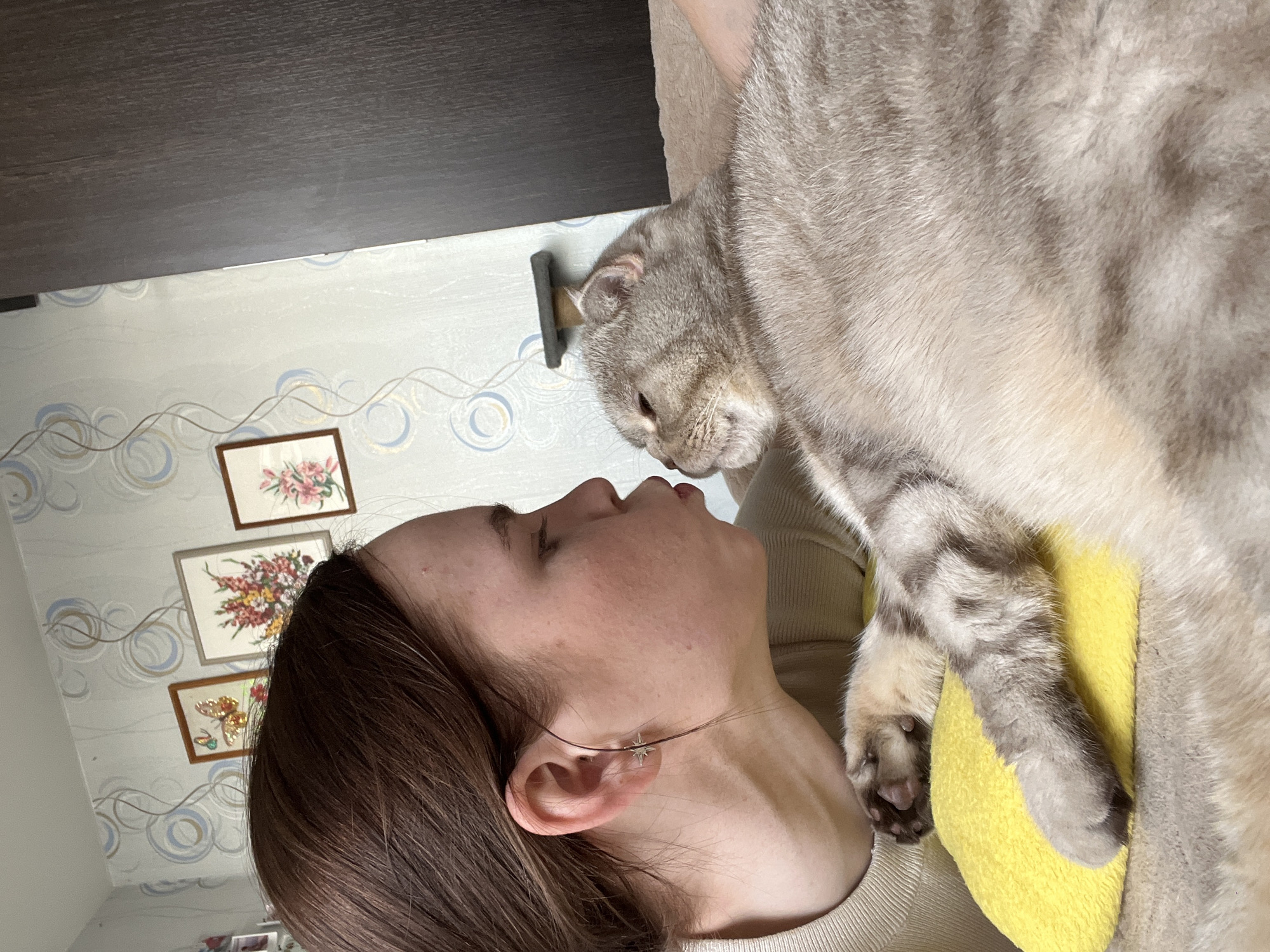 A side-view medium shot photograph shows a light-skinned woman with brown hair lying on a surface with her face close to a light gray tabby cat. The woman's right ear is visible, adorned with a star-shaped earring. The cat is positioned on top of a yellow object, possibly a pillow. The wallpaper behind them has a circular pattern in white and light blue, with three framed pieces of needlework depicting flowers and a butterfly. Above the wallpaper is a dark brown wooden surface. Based on similar images, the location is Chaikovsky, Russia.