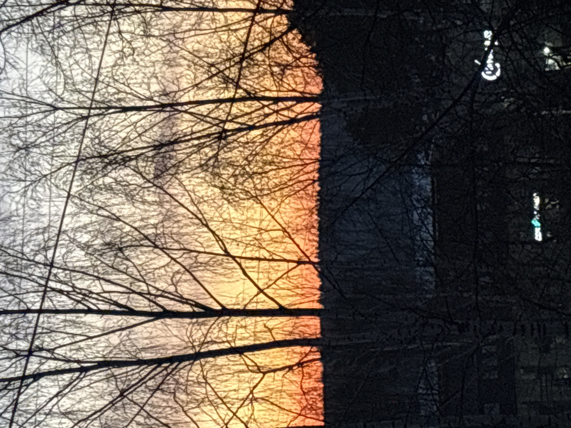 The image shows bare branches of a tree silhouetted against a sky that transitions from light gray to orange-yellow. On the right side, the branches are very dark, possibly obscuring a building with lit windows. The scene likely depicts either sunrise or sunset in an urban environment. The location, Chaikovsky, Russia, is based on additional context, which is not visible in the image.