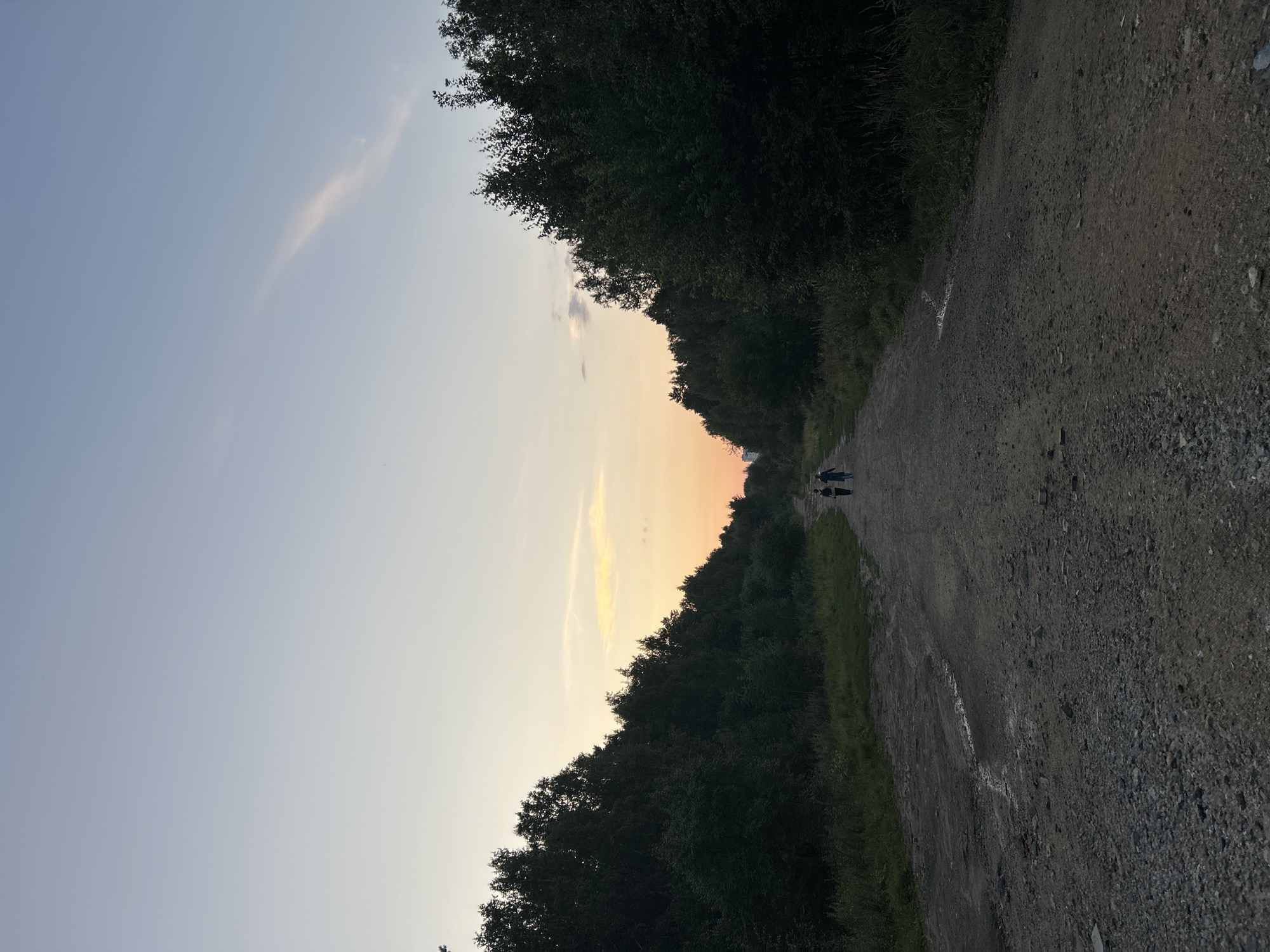 Two individuals are walking away from the camera on a rough, gravel road that cuts through a dense, dark forest. The road is uneven and shows signs of wear with scattered rocks and some puddles. The trees lining the road are thick and form a dark canopy on either side. The sky above is a pale blue with a faint, wispy orange and yellow streak of sunset visible in the distance, creating a serene and slightly somber atmosphere. The overall setting appears to be a rural or natural area, possibly on the outskirts of a city given the faint hint of buildings in the far distance.