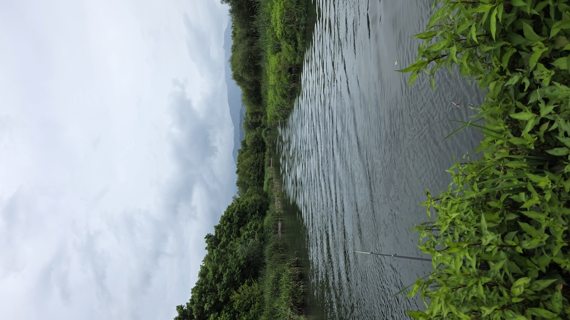 The image shows a calm river flowing through a lush green landscape under an overcast sky. The riverbanks are lined with dense vegetation, including tall grasses and trees. In the foreground, there are green plants and a fishing rod. In the distance, mountains are visible. The scene appears to be a natural environment, possibly a park or a nature reserve. The specific location in Batumi, Georgia is not discernible from the image.