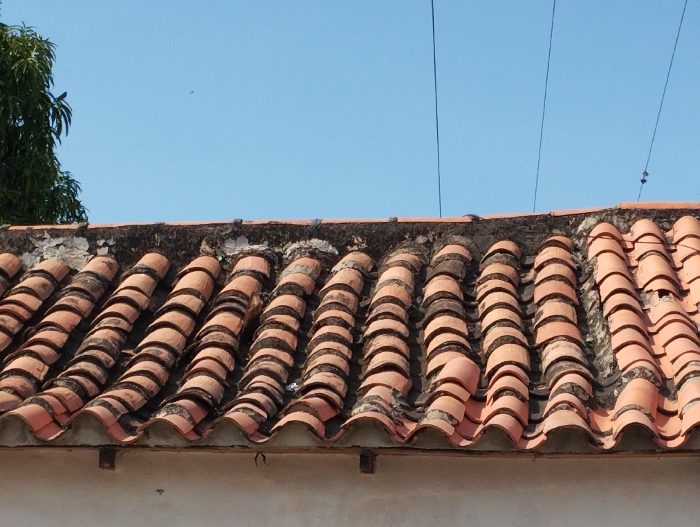 The image displays an exterior architectural scene in Guacara, Venezuela, under a clear, bright blue sky. A prominent, weathered terracotta-colored tile roof dominates the lower and mid-ground. The roof is constructed from numerous S-shaped or semi-cylindrical clay tiles arranged in distinct horizontal rows, exhibiting dark discoloration, grime, and some biological growth, particularly along the tile crevices and where it meets a parapet. The parapet above the tiles shows significant deterioration, with peeling light-colored paint or plaster and extensive dark organic growth. To the far left, a section of dense green tree foliage is visible against the sky. Three thin, dark utility wires traverse horizontally across the upper portion of the clear blue sky, slightly above the roofline. At least two small, dark avian subjects are perched on the rightmost utility wire. No human subjects or discernible actions are present.