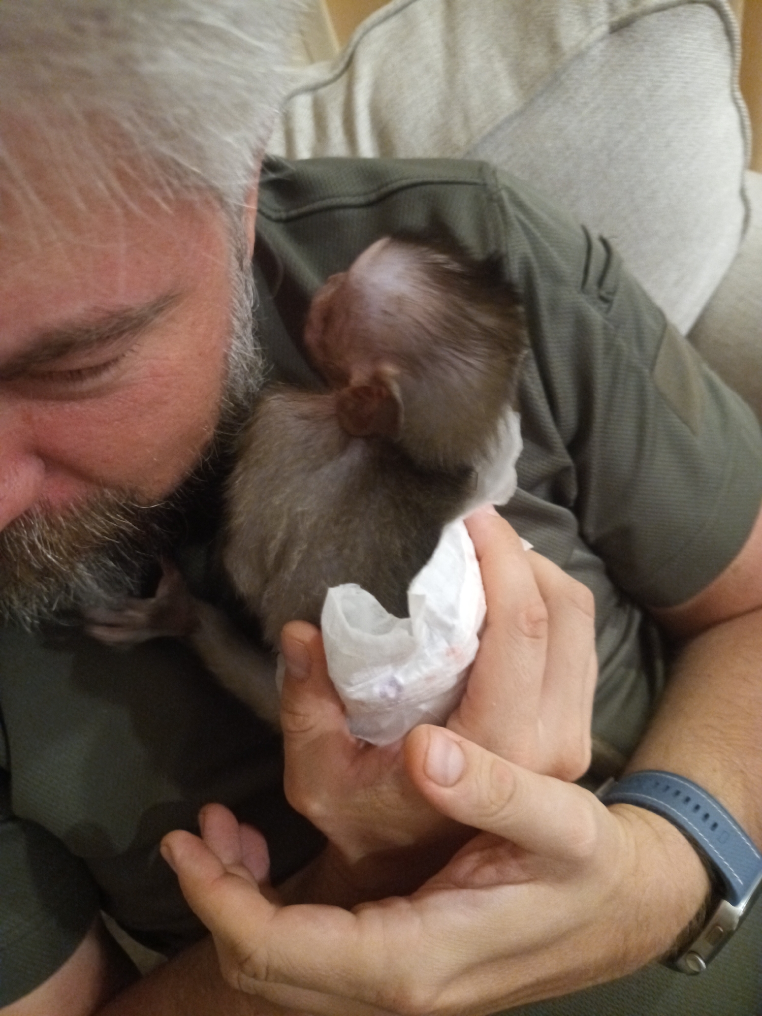 A close-up shot shows a middle-aged man with gray hair and a beard cuddling a small, possibly infant, monkey. The man is wearing an olive-green shirt. The monkey is nestled in his arms, and he appears to be holding something white, possibly a diaper or cloth, in his hand. The background includes a beige cushion, suggesting they are indoors. The location, Baan Wang Ta Kien, Thailand, cannot be confirmed from the image.