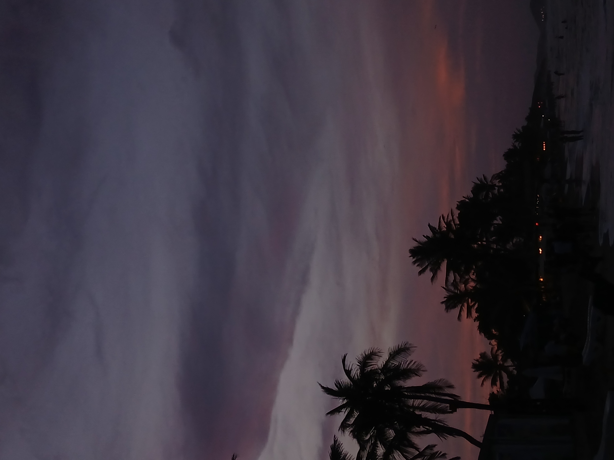 The image depicts a beach scene at dusk or dawn, possibly in Playa Parguito, Venezuela. Silhouetted palm trees are prominent in the foreground and middle ground. In the background, a beach line is visible with indistinct figures of people. The sky exhibits shades of purple and orange, suggesting a sunset or sunrise.