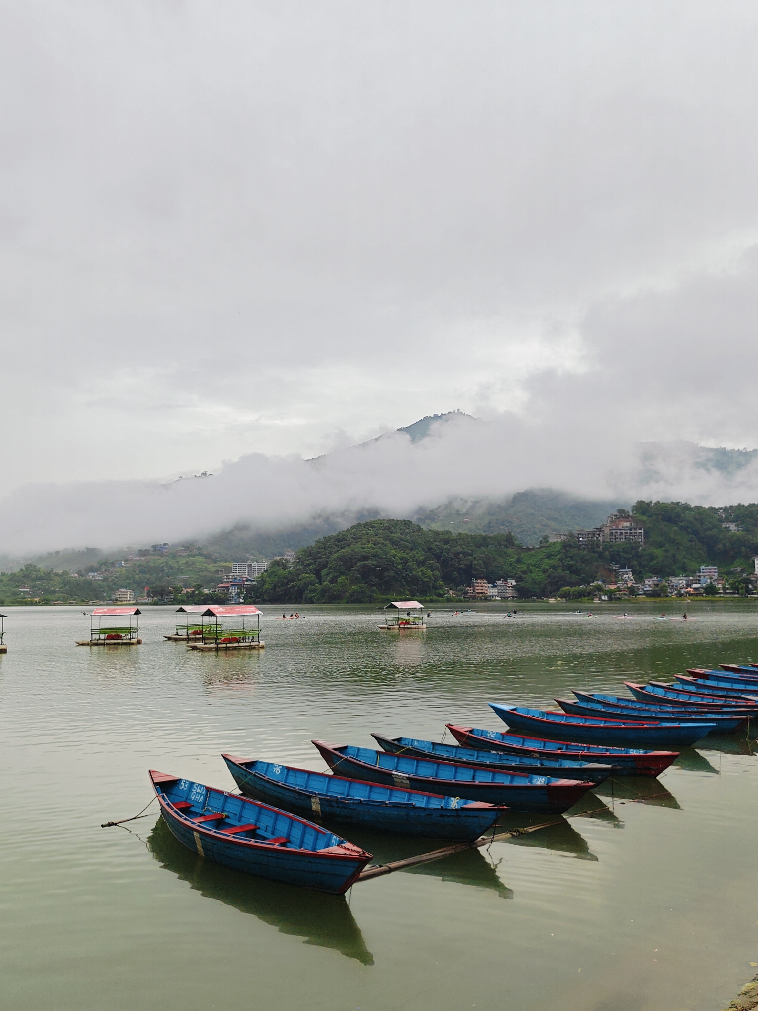 The image shows a scenic view of Phewa Lake in Pokhara, Nepal, on an overcast day. In the foreground, a line of traditional wooden boats with blue hulls and red trim are moored along the shore. The boats are empty, reflecting on the calm, greenish water. In the mid-ground, several floating platforms with red roofs and green seating are anchored in the lake, some with people visible. The background features a lush green hillside dotted with buildings, and the mountains are partially obscured by thick, white clouds. The water is slightly rippled, and the overall atmosphere is serene and a bit hazy due to the cloudy weather.