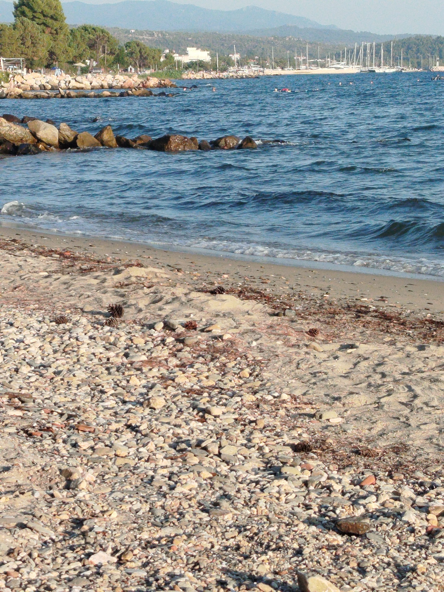 The image depicts a coastal scene, likely in Sithonia Municipal Unit, Greece, characterized by a pebble and sand beach meeting the Aegean Sea. In the foreground, a dense scattering of various-sized pebbles, some smooth and rounded, others angular, covers the beach. Interspersed among the pebbles are patches of damp sand, marked with footprints and littered with dried seaweed and pinecones.
The sea in the midground is a deep blue, with gentle waves lapping at the shore, creating a foamy white line along the water's edge. Further out, a line of dark rocks juts out of the water, acting as a breakwater. Beyond this, the water extends towards a coastline dotted with trees and buildings. In the distance, a marina with numerous sailboats is visible, anchored against a backdrop of hazy, tree-covered hills under a pale sky. A few people are subtly present; some are visible in the water near the shore, while others are on the beach or near the boats in the distance. The overall impression is a serene, sunlit day at a Mediterranean beach.