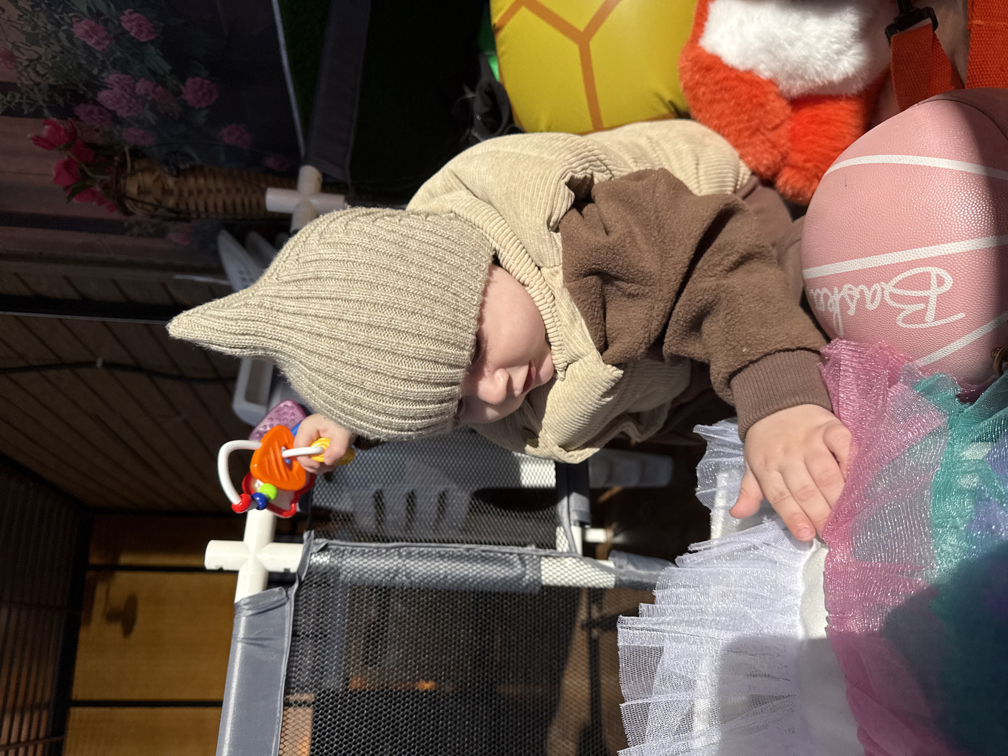 A baby wearing a brown and beige outfit and a pointed knit hat is positioned head-down inside or over a portable playpen. The baby is holding a brightly colored toy with one hand while the other hand touches a multi-colored tulle ruffle. The playpen has a white frame and a black mesh side. The background includes toys, a basket of flowers, and other items, suggesting the scene may be indoors or in a contained outdoor space. The location is Кипчак, Russia, but without further information, it is impossible to pinpoint a specific area within the city.