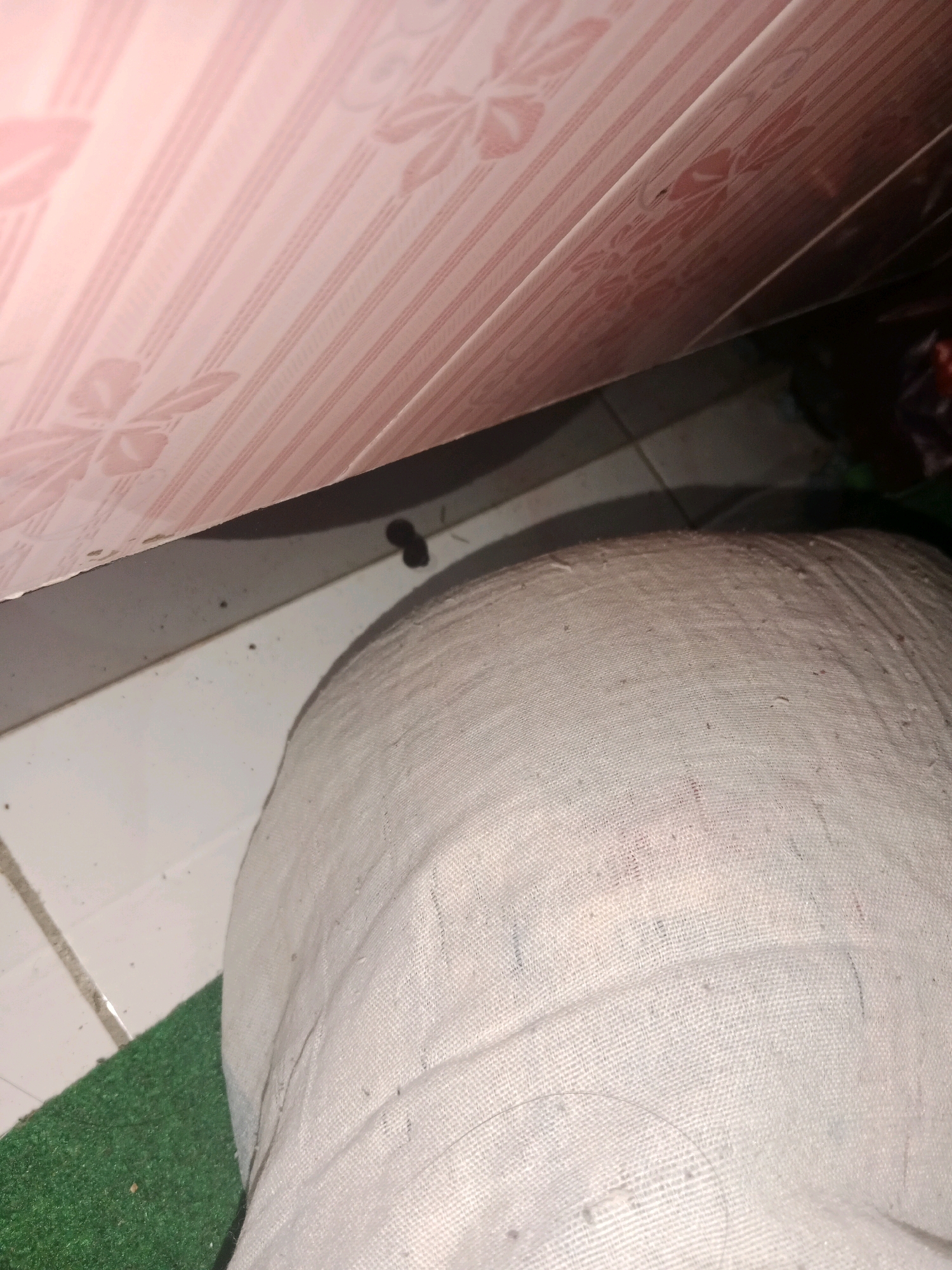 A low-angle, close-up shot captures a segment of a room in Ringinrejo, Indonesia. In the foreground, a heavily textured, off-white fabric object, possibly a cushion or stuffed toy, fills the right side of the frame. The fabric is creased and shows signs of wear, with small dark specks scattered across its surface. To the left of this object, a patch of bright green, carpet-like material is visible. The background reveals a floor tiled with pale squares and darker grout lines. Above the floor, a pink surface with a repeating floral pattern and vertical stripes is prominent. The lighting appears dim, casting shadows. A small cluster of dark, oval-shaped objects, potentially droppings, is present on the floor between the pink surface and the fabric object.