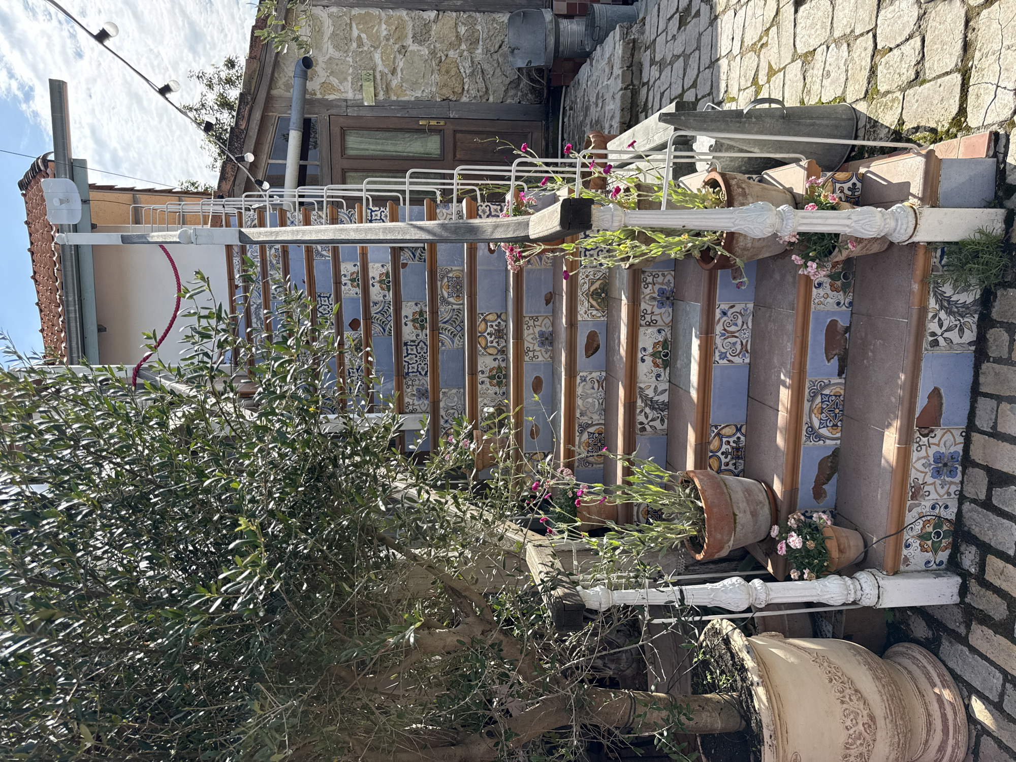 In Semogorskiy, Russia, a picturesque outdoor staircase ascends, its risers adorned with colorful, patterned ceramic tiles. A large olive tree stands to the left, its branches casting dappled sunlight onto the scene. Several potted plants, including one with pink flowers, are strategically placed along the steps and at the base of the stairs. The staircase is bordered by a white railing with ornate posts. In the background, a rustic stone building with a wooden door is visible, and a string of lights hangs overhead. The ground surrounding the staircase is paved with irregular stone blocks.