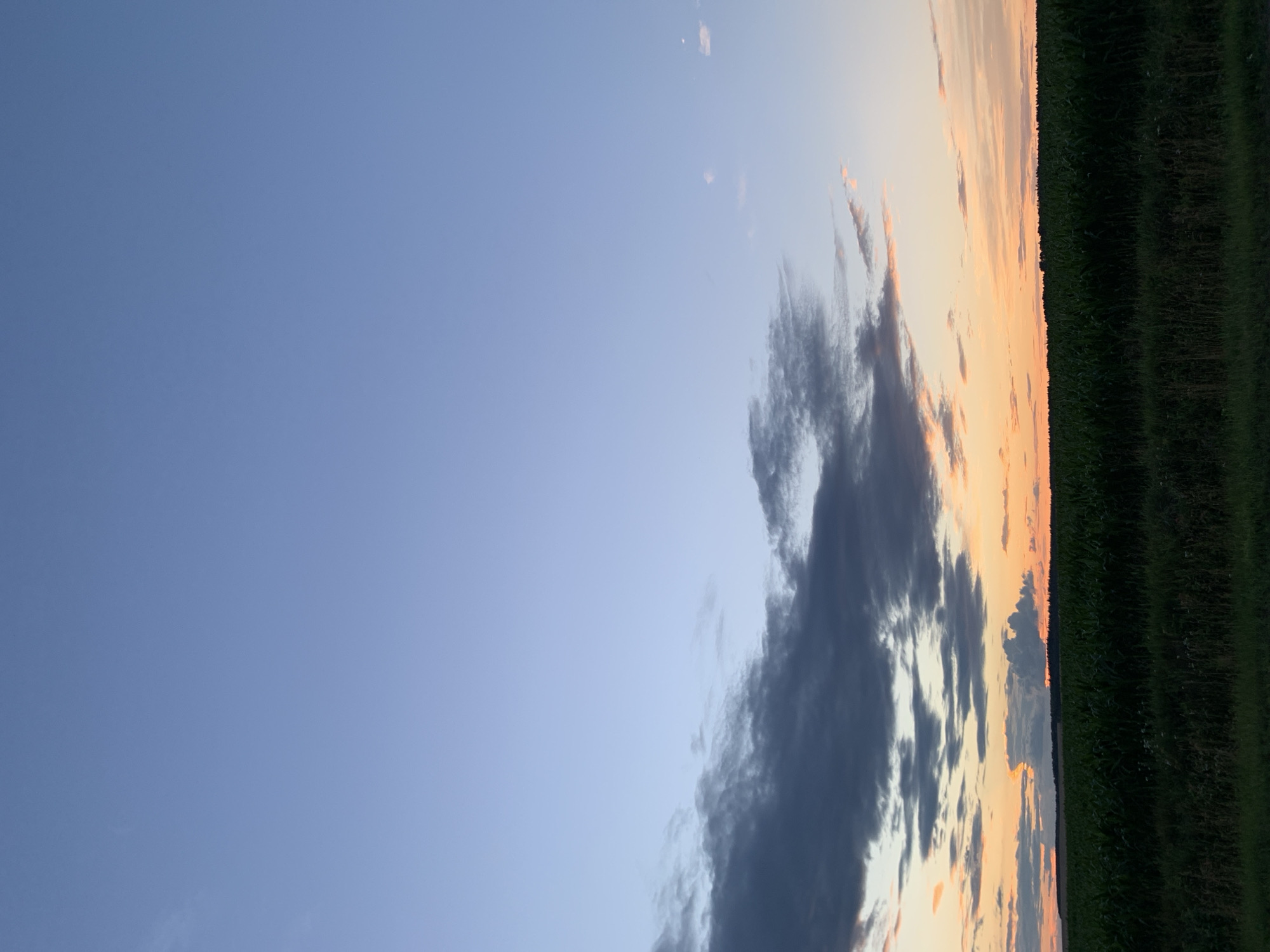 This is a landscape photograph of a rural scene at sunset in the Цімкавіцкі сельскі Савет, Belarus. The image is dominated by a gradient sky that transitions from a clear, light blue at the top to warm hues of orange and pink near the horizon. Dark, textured clouds are present in the mid-sky, with lighter, wispy clouds scattered throughout.
Below the sky, a dense, dark green field, likely a crop such as corn, stretches horizontally across the frame. A thin band of darker, wilder vegetation is visible in the foreground, bordering the cultivated field. The horizon is marked by a line of trees, silhouetted against the colorful sky. There are no people or animals visible in the image. The overall impression is one of tranquility and the natural beauty of a rural sunset.