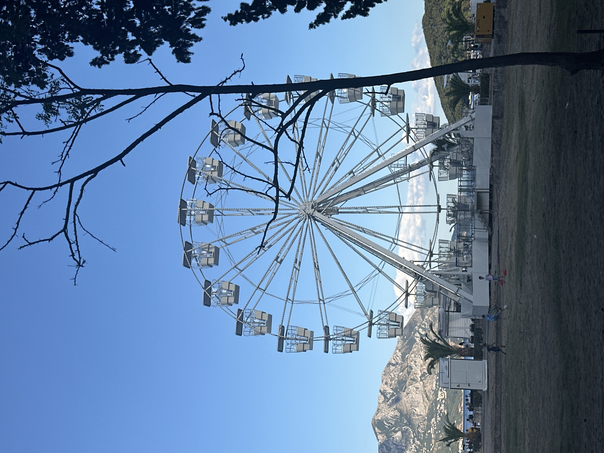 A large white Ferris wheel stands prominently in the center of the frame, against a clear blue sky. The wheel, with numerous white gondolas, appears to be stationary. In the foreground, a grassy area is sparsely covered with dry grass, with a dark tree trunk on the right side of the image obscuring part of the Ferris wheel and a dark tree on the far right. In the middle ground, three young boys are playing with a soccer ball on the grass. Behind them, there is a promenade with several palm trees, some white structures, and people walking. Further in the background, a body of water is visible, with a town nestled on the hills and a large, rocky mountain range behind it. A yellow generator is visible on the right side of the promenade. This scene is consistent with the promenade area in Budva, Montenegro, specifically near the beach and Old Town.