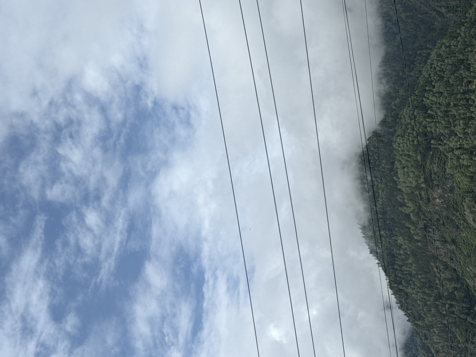 The image captures a view of a forested mountain peak partially obscured by clouds, with multiple power lines running horizontally across the frame. The mountain is densely covered with green coniferous trees. The sky above is a mix of blue and white clouds, with the clouds closer to the mountain appearing thicker and more uniform. The power lines are dark and thin against the lighter sky and clouds. The scene appears to be an outdoor natural landscape, likely in a mountainous region. Based on the provided information, this scene is located in the city of Chemal, Russia.