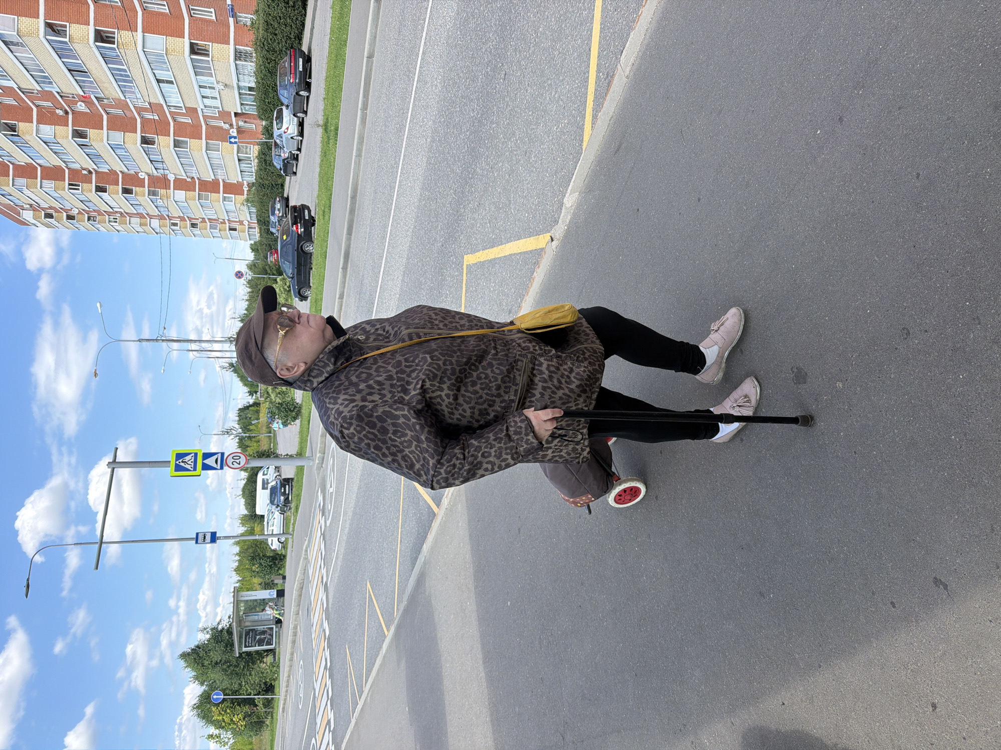 An elderly woman wearing a leopard-print jacket, sunglasses, and a brown cap walks on a paved surface with a cane and a rolling shopping cart. She is wearing black leggings and pink slip-on shoes with tassels. The background shows a bus stop shelter, cars, trees, streetlights, and a tall apartment building. The sky is blue with white clouds. The scene appears to be a street in a residential area.