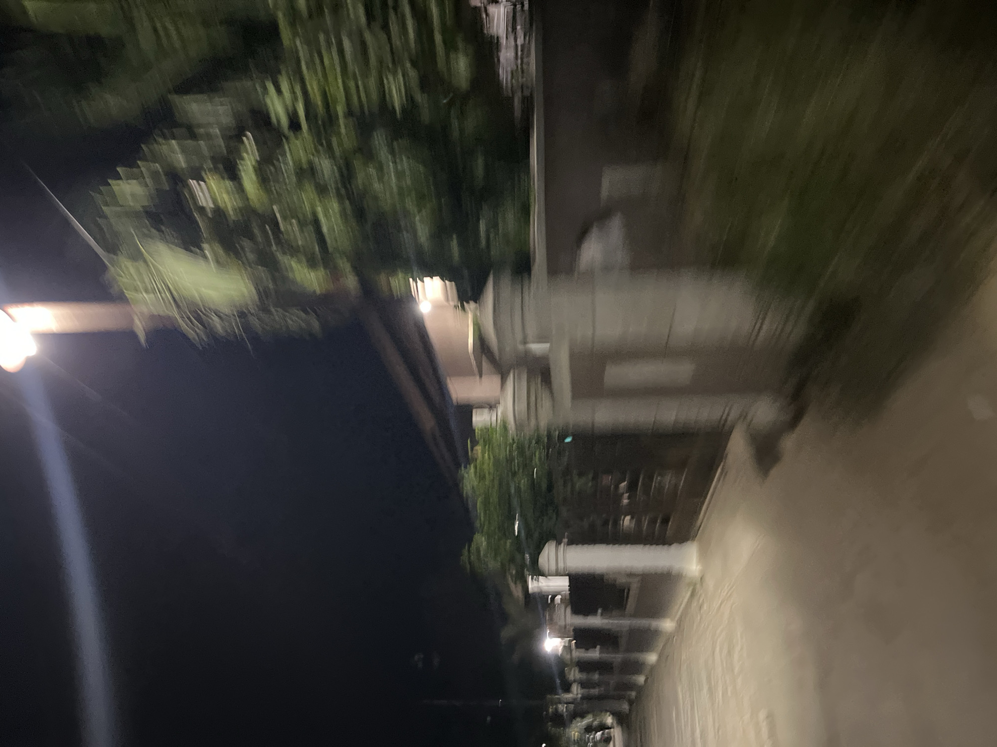 The image captures a blurry, vertical view of an outdoor scene at night. On the left side of the frame, a bright, glowing light source, possibly a street lamp, illuminates the dark sky. To the right of this light, a building's dark facade is visible, with a horizontal band of lighter color across it, suggesting a roofline or a different material. Beyond the building, dense foliage, likely trees, appear as streaks of green due to motion blur.
The right side of the image shows a paved pathway or walkway, also blurred. Along the edge of the walkway, there are several stone pillars or architectural elements. These pillars are detailed with what appear to be ornate carvings or designs. Behind the pillars, more blurred green foliage is visible. The overall impression is of a dimly lit, possibly manicured outdoor area, perhaps a garden or a path alongside a property, taken with a camera in motion. The time of day is clearly night, indicated by the darkness and artificial light source. There is no visible text in the image.