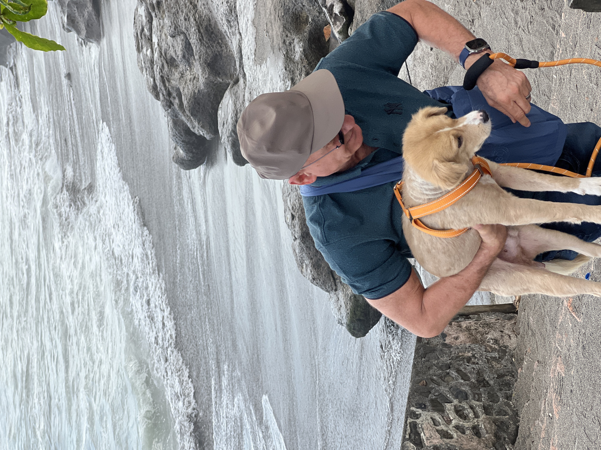 A man wearing a dark green polo shirt, a grey baseball cap, and blue jeans is holding a light brown dog with an orange harness and leash. He is standing on a beach next to a rocky shoreline with waves coming in. The man is looking down at the dog. The background shows the ocean, sand, and rocks. The image appears to be taken in North Kuta, Indonesia.