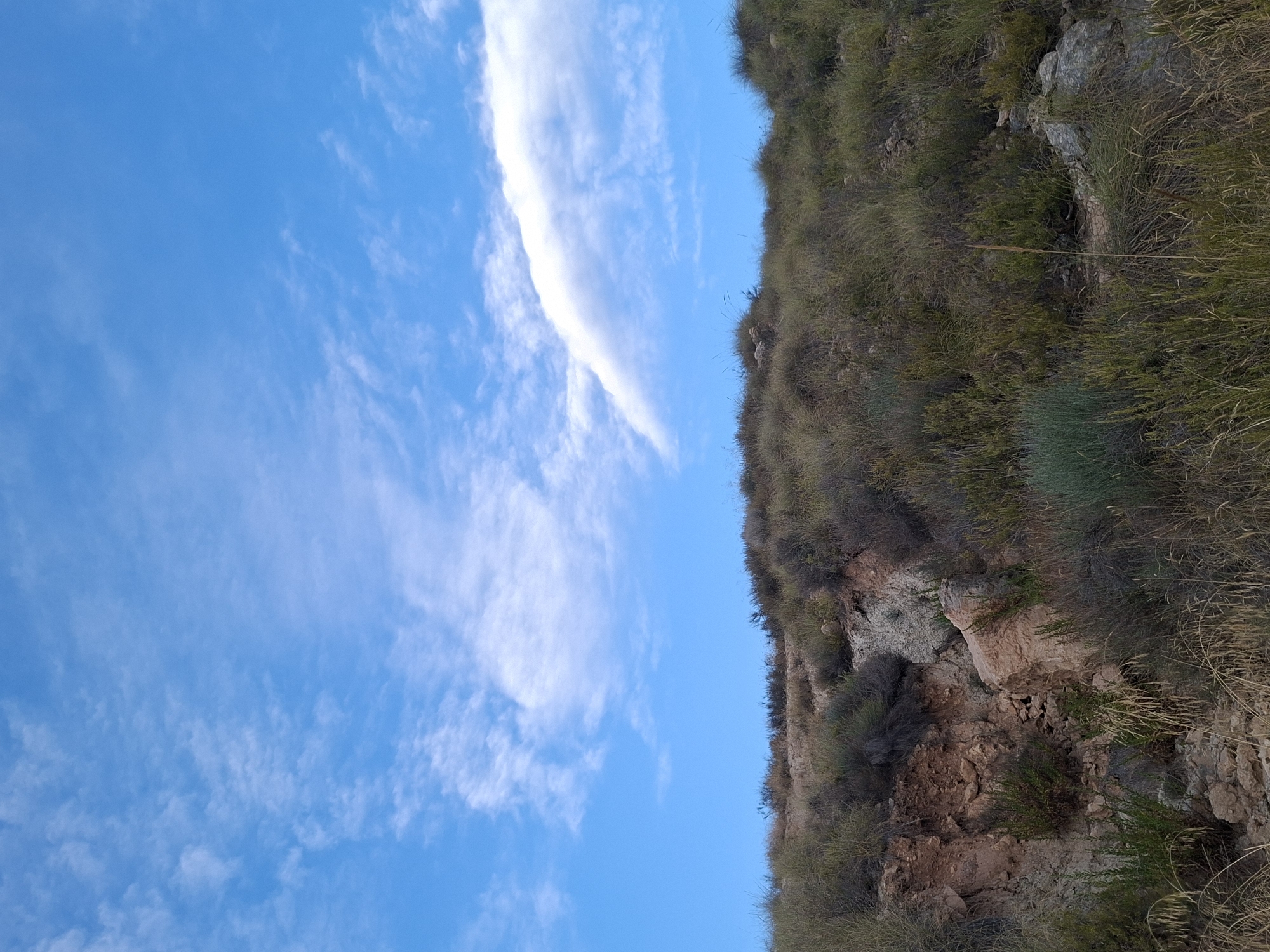 The image depicts a natural landscape with a clear blue sky filled with wispy white clouds. In the foreground, there is a rugged, overgrown hillside with sparse vegetation, including dry grasses and low-lying shrubs. The terrain appears arid and rocky, with visible exposed soil and rock formations on the left side of the image. The scene is devoid of any human presence or man-made structures, suggesting a rural or undeveloped area.