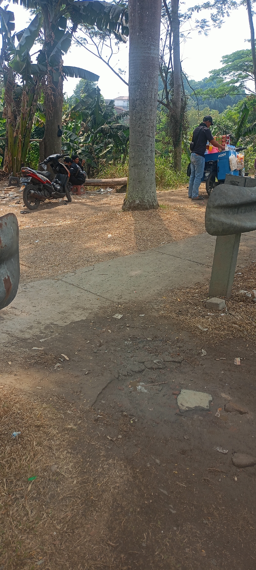 The image depicts an outdoor scene in Kertajaya, Indonesia, on a day with bright sunlight casting shadows. In the mid-ground, a street vendor is operating a blue beverage cart, labeled "Kopi," which is likely selling coffee or similar drinks. The vendor, wearing a black shirt and blue jeans, is interacting with the cart. To the left of the vendor and cart, a red and black motorcycle is parked. Three individuals are seated on a wooden bench near the motorcycle. The environment is rural or semi-rural, characterized by lush green vegetation, including large banana plants, and tall trees with thick trunks. The ground is a mixture of dirt, dry grass, and some scattered debris, with patches of cracked pavement or mud visible in the foreground. The background shows more dense foliage and a hilly landscape under a bright sky.