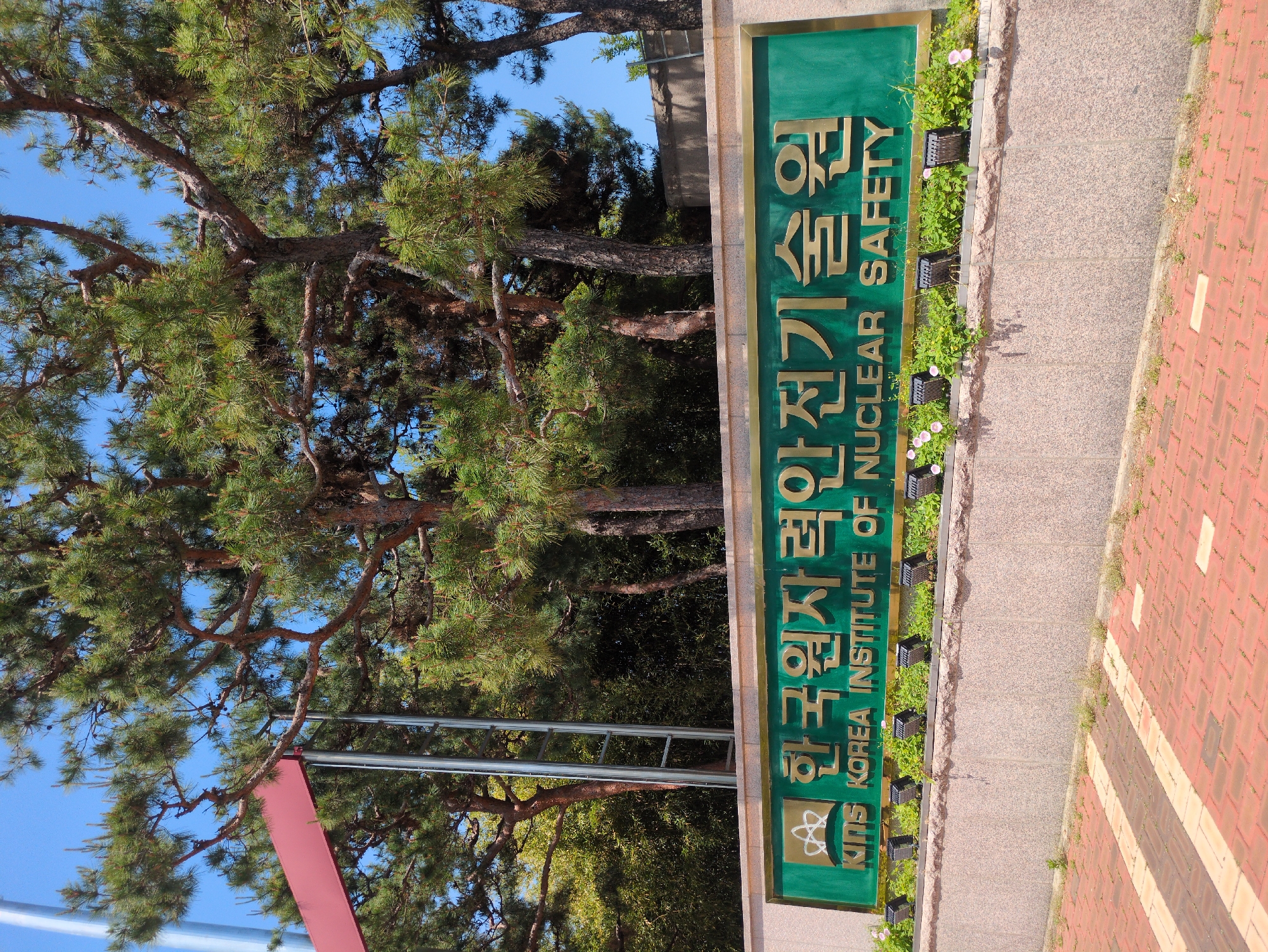 A daytime, full shot captures a verdant scene with a sign for the Korea Institute of Nuclear Safety (KINS) in Daejeon, South Korea. The sign is green with gold lettering and an atom symbol in the lower left corner. Behind the sign, a large pine tree with dense foliage dominates the left side of the image, partially obscuring a blue sky. A paved pathway, constructed from alternating red and beige bricks, stretches along the right edge of the frame. The ground around the sign is lined with small plants and light fixtures. A metallic structure is partially visible to the left of the sign. No people are visible in the photograph.