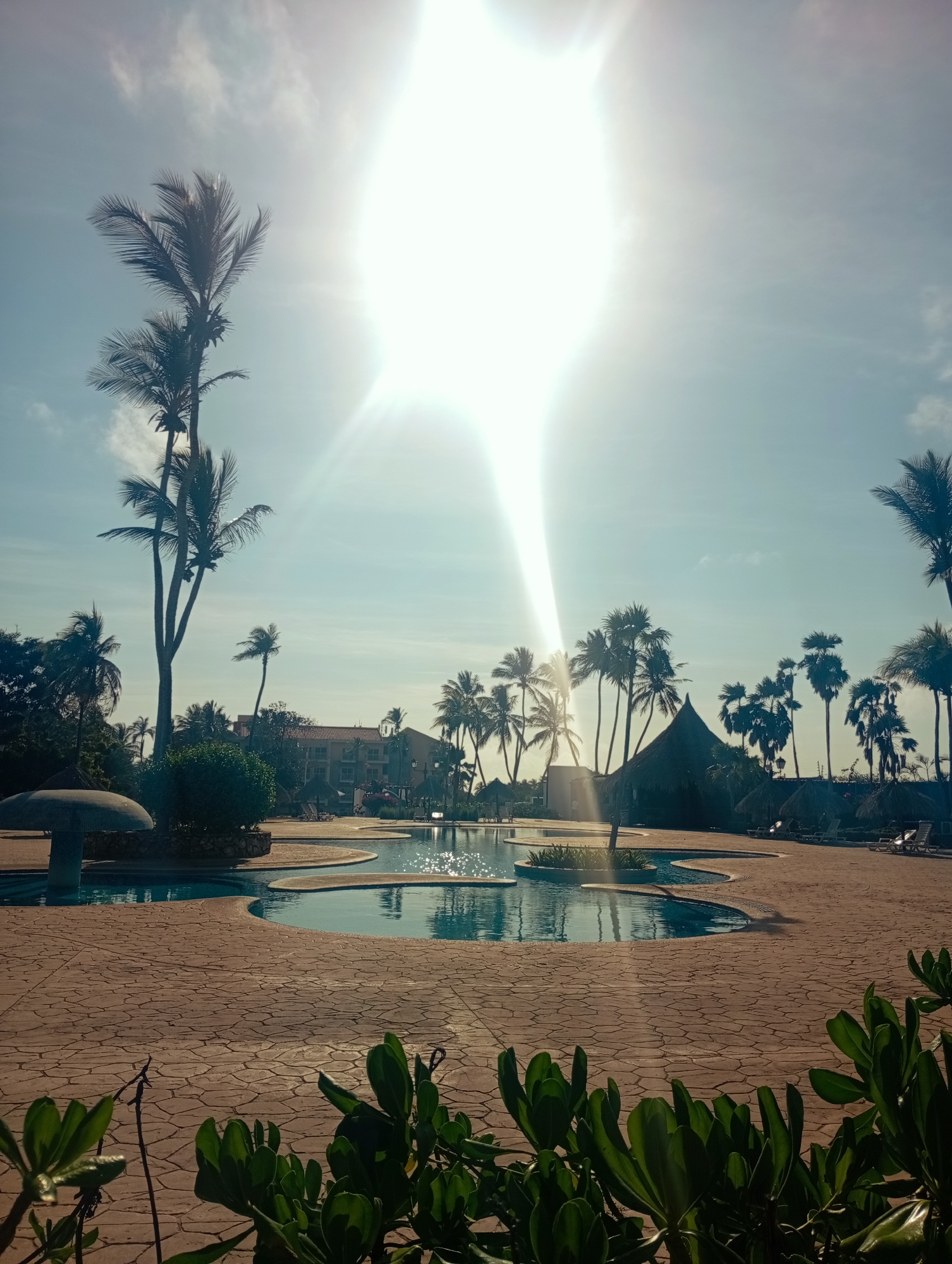 A vibrant, sun-drenched outdoor scene depicts a tropical resort area, likely at Playa El Agua, Venezuela. The central feature is a large, irregularly shaped swimming pool filled with clear blue water, which reflects the bright sky and intense sunlight. Surrounding the pool are extensive paved pathways made of what appears to be stamped concrete or patterned tiles.
The landscape is abundant with palm trees of varying heights, their dark silhouettes contrasting against the bright sky, a quintessential element of a tropical setting. In the middle distance, a multi-story hotel building with a reddish-orange roof is visible amongst the greenery. Several thatch-roofed structures, such as cabanas or palapas, are strategically placed around the pool and in the background, some sheltering lounge chairs on the right side of the frame. A unique mushroom-shaped water feature or decorative element stands at the edge of the pool on the left. The immediate foreground is softly blurred, showing vibrant green leafy plants, adding a sense of depth.
The photograph was taken during bright daylight, indicated by the strong, almost blinding sun flare dominating the upper-center of the image, extending downwards. The sky is a clear, light blue with minimal, wispy cloud cover. No individuals are present in the scene, conveying a quiet, peaceful, and inviting atmosphere typical of a vacation destination. No text is visible within the image.