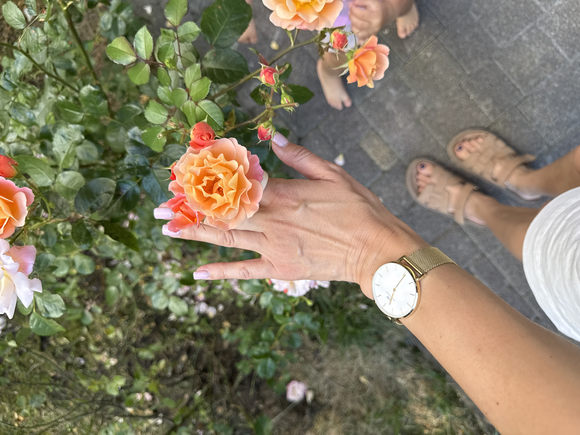 A first-person perspective shot shows a person's hand with manicured fingernails reaching out to touch a cluster of orange and pink roses in a garden setting. The person is wearing a gold watch on their left wrist and tan sandals. In the background, the feet of two small children are visible. The ground is paved with gray interlocking stones. The overall scene suggests a warm, sunny day in a garden. No specific location in Sochi, Russia can be determined from the image.