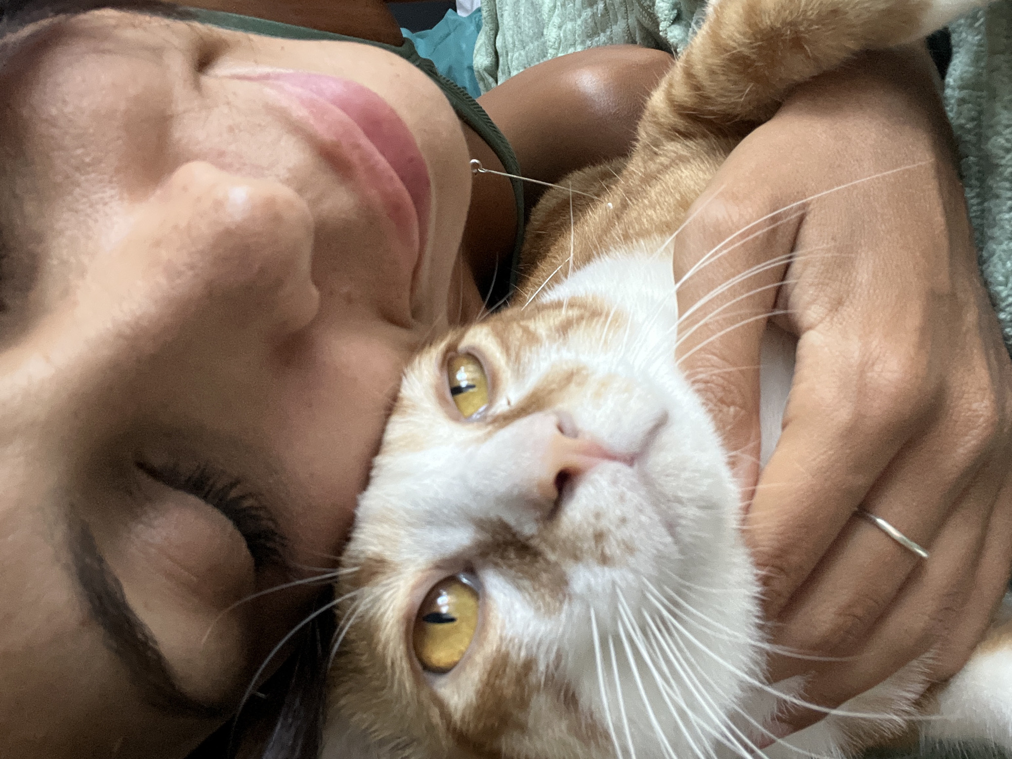 A close-up shot shows a person cuddling an orange and white cat. The person's face, including the closed eye, nose, and mouth, is pressed against the cat. The cat's face, with its yellow eyes, pink nose, and white whiskers, is the main focus. One of the person's hands is visible, holding the cat, with a ring on one of the fingers. The environment appears to be indoors, with a green, textured background. There's no information indicating the location as Kuta Selatan, Indonesia.