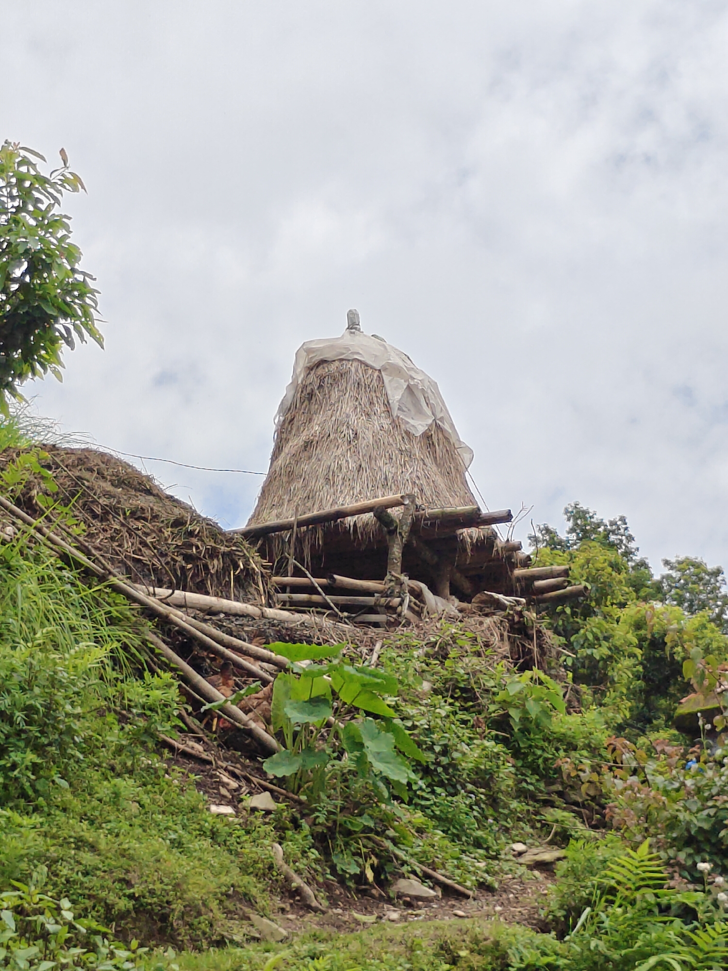 The image shows a conical structure thatched with dry grass and covered with a white tarp on top, likely a granary or a haystack, situated on a hillside. The structure is supported by wooden poles. The surrounding area is overgrown with lush green vegetation, including various plants, bushes, and some trees. In the foreground, there is a dirt path winding through the greenery. The sky is overcast with scattered clouds. The scene appears to be in a rural or semi-rural area, possibly on the outskirts of Pokhara, Nepal, given the hilly terrain and vegetation typical of the region. No people are visible in the image.