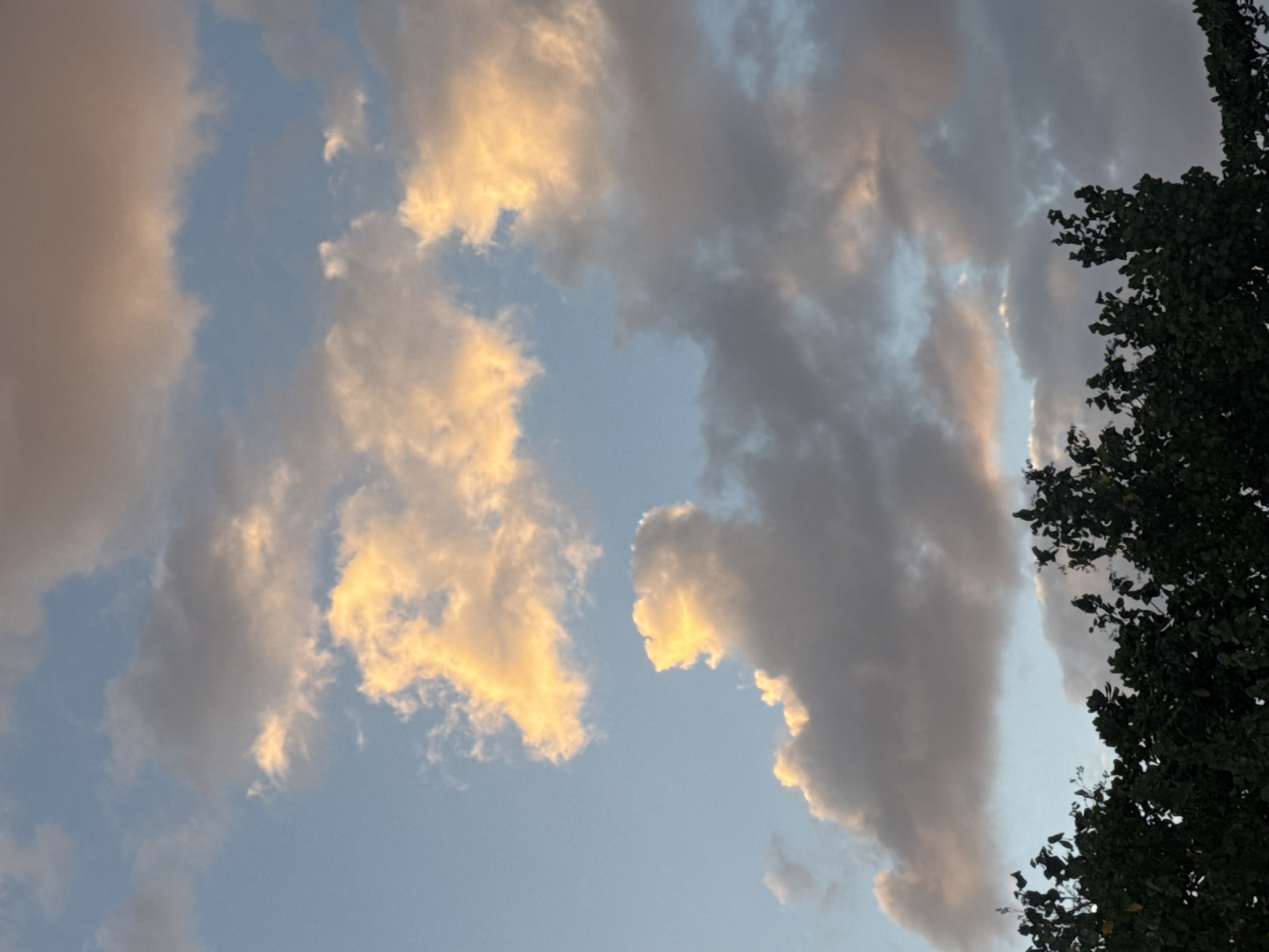 The image depicts a cloudy sky at dusk, with pockets of warm, golden light illuminating some of the clouds. The sky is a mix of light blue and grey. In the foreground, the dark silhouettes of lush green trees are visible, their branches reaching upwards. The scene appears to be a natural landscape, possibly a park or a garden, within the city of Kuta, Indonesia, as indicated by the provided location information. There are no people or animals visible in the image.