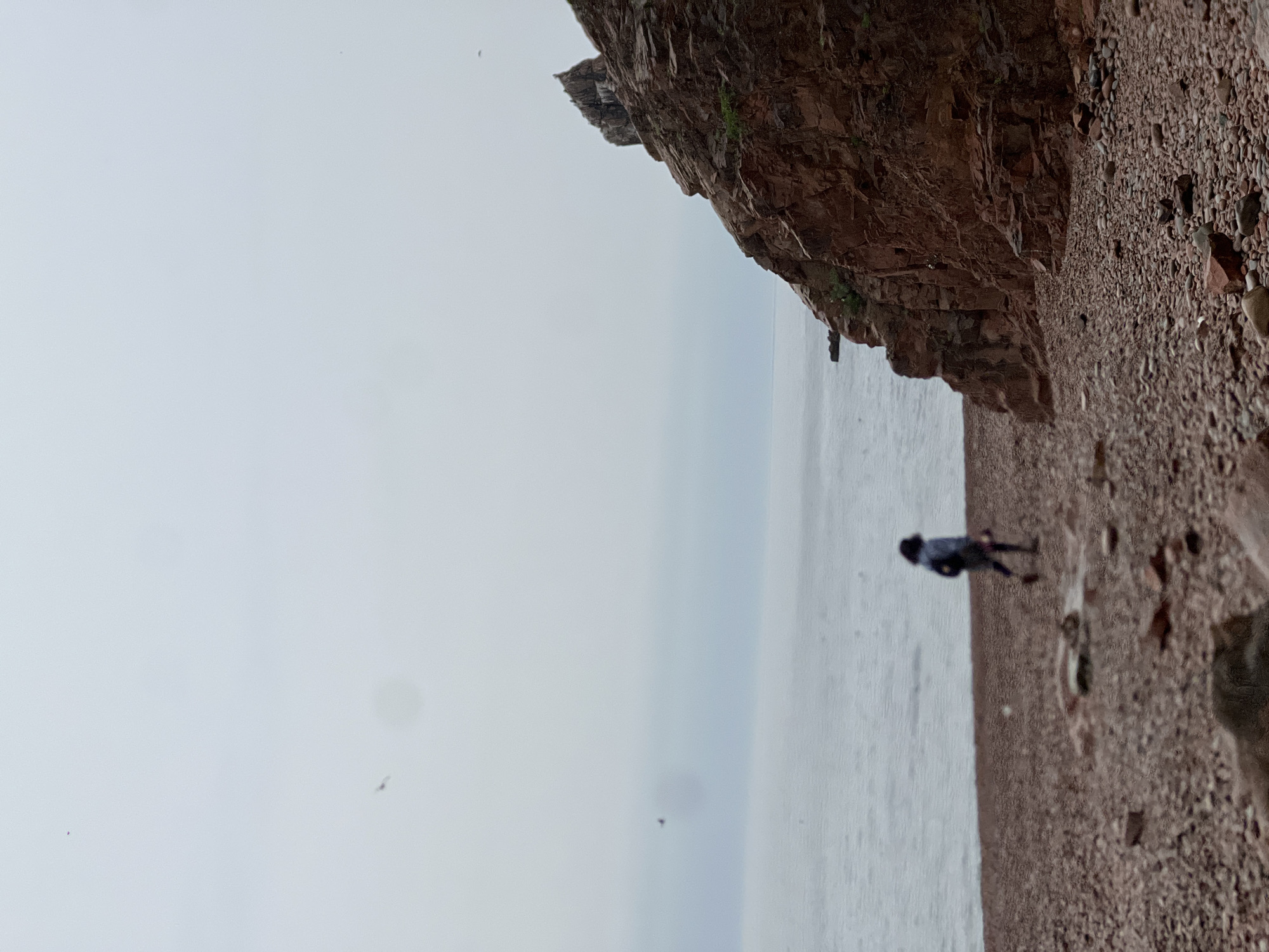 The image shows a coastal scene near Russkiy Island, Russia. A person is standing on a rocky beach next to a cliff face. The sky is overcast and the water is calm. The beach is composed of small pebbles and rocks. The cliff face is made of reddish-brown rock and has some vegetation growing on it.