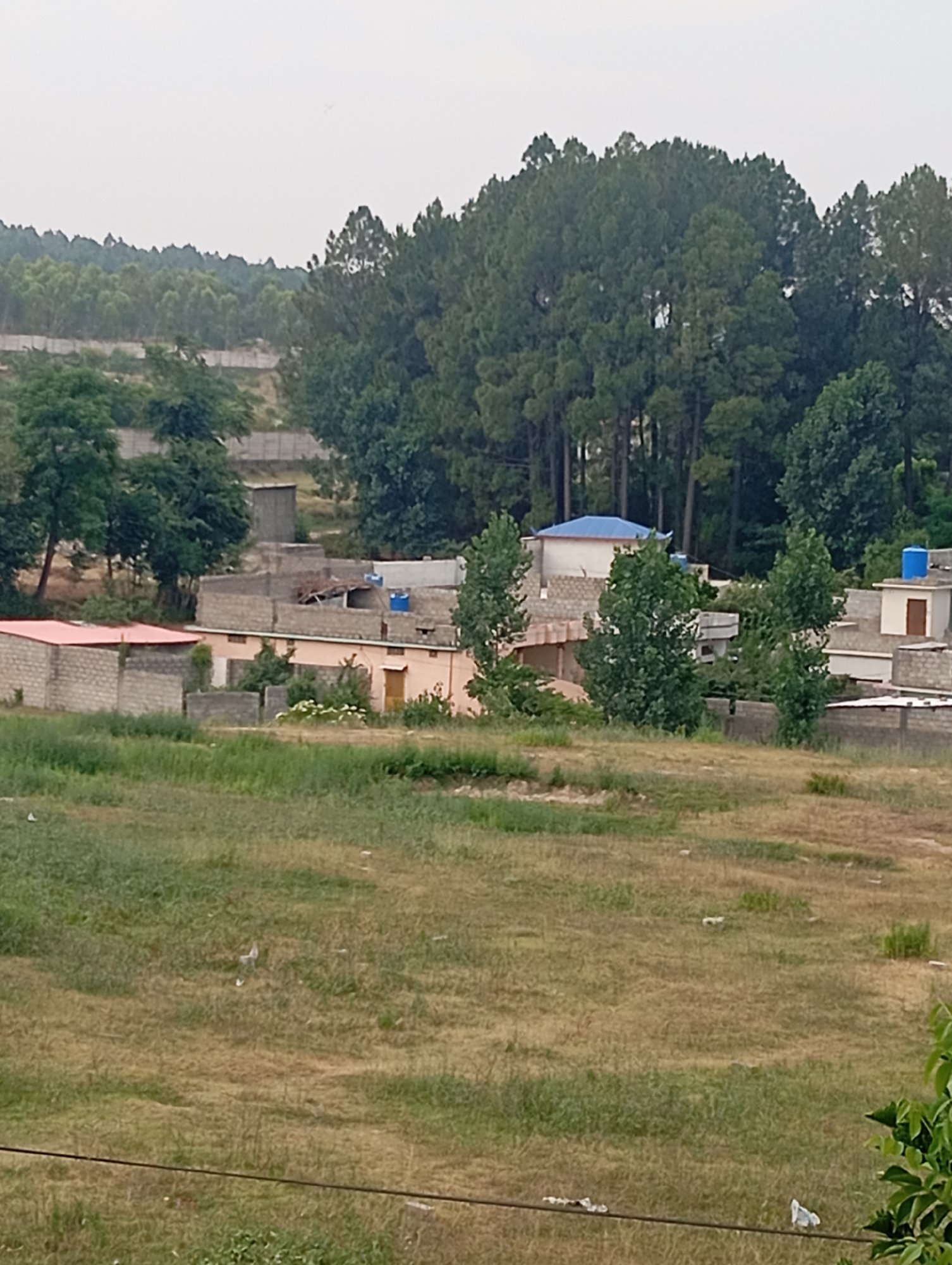 The image captures a rural landscape in the vicinity of Lassan, Pakistan, characterized by a mixture of residential structures and natural vegetation. In the foreground, a dry, grassy field stretches across the frame, dotted with patches of greener vegetation and some scattered debris. A thin black wire runs horizontally across the lower portion of the image.
The midground features a collection of buildings, appearing to be houses or small residential units under construction or partially completed. These structures are predominantly made of concrete blocks and bricks. Some buildings have visible roofs, including one with a red corrugated metal roof and others with flat concrete roofs. Blue water tanks are visible on top of some of the buildings. The construction style suggests a functional, perhaps developing, residential area.
In the background, a dense forest of pine trees covers the undulating terrain. The trees are tall and dark green, forming a thick canopy that obscures the land behind them. The sky is overcast, with a pale, hazy quality, suggesting a cloudy or misty day. The overall impression is of a rural settlement nestled within a forested, hilly region. There are no people visible in the image.