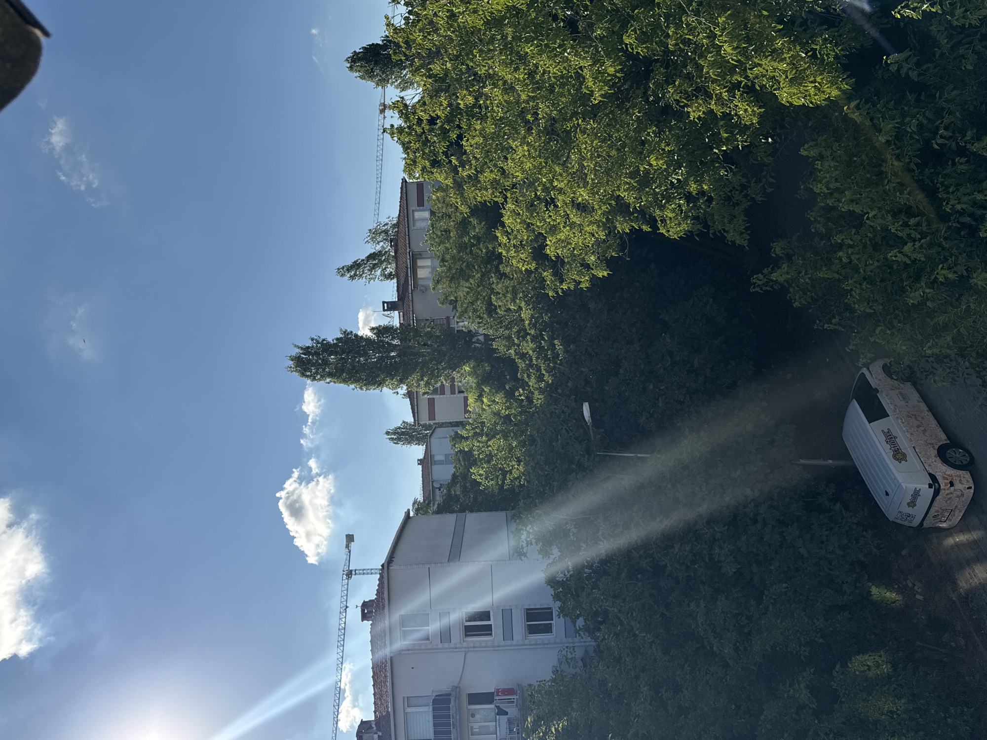 The image depicts a view of the city of Gungoren, Turkey, on a clear, sunny day. In the foreground, dense green trees dominate the lower half of the frame, with sunlight streaming through them, creating lens flares and light shafts. A white van with colorful branding is parked on a paved area within the trees. In the mid-ground, more trees obscure the view of several apartment buildings. The buildings appear to be multi-story structures with balconies and windows. Cranes are visible in the background, suggesting ongoing construction in the area. The sky is a vibrant blue, with a few scattered white clouds. The overall impression is an urban scene with abundant greenery and signs of development.