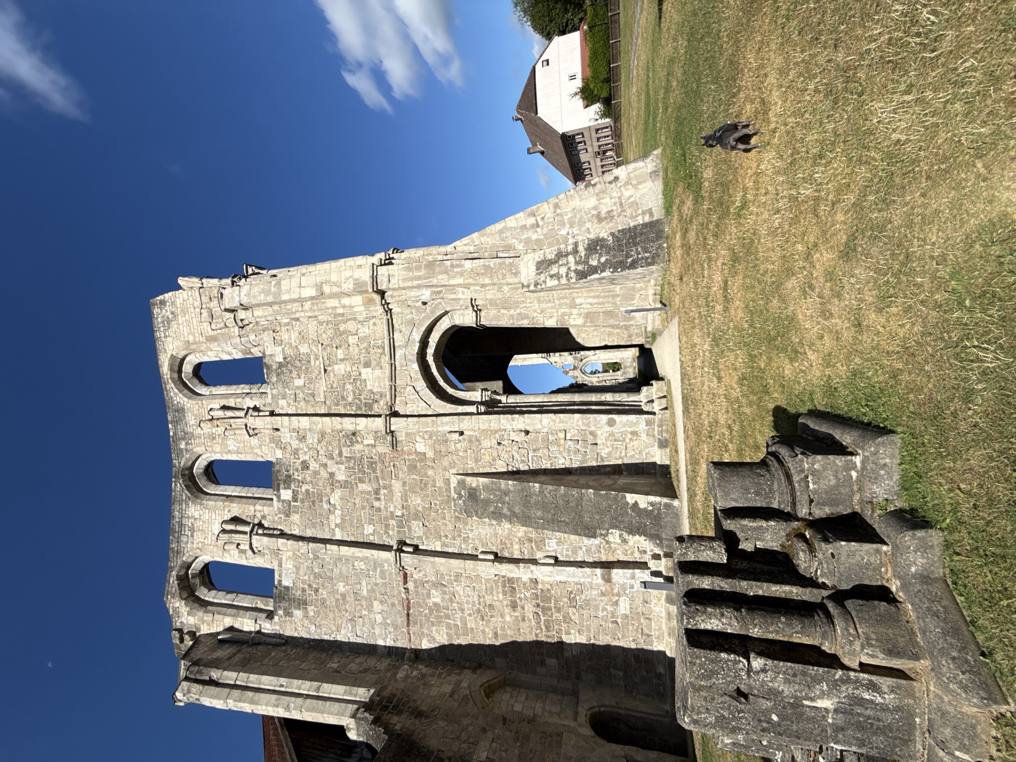 This is a low-angle, wide shot of the Riechenberg ruins in Walkenried, Germany, under a clear blue sky with scattered clouds. The ruins, constructed of stone blocks, dominate the left side of the frame, with arched openings visible in the upper section and a large archway leading into the structure. In the foreground, to the left, are weathered stone fragments, possibly architectural remnants. To the right, a small, dark-colored dog is running across a dry, grassy field. In the background, a building with a red-tiled roof and a pale pink facade is visible, adjacent to a wooden fence and trees. The sun casts distinct shadows across the ruins and the grassy area.