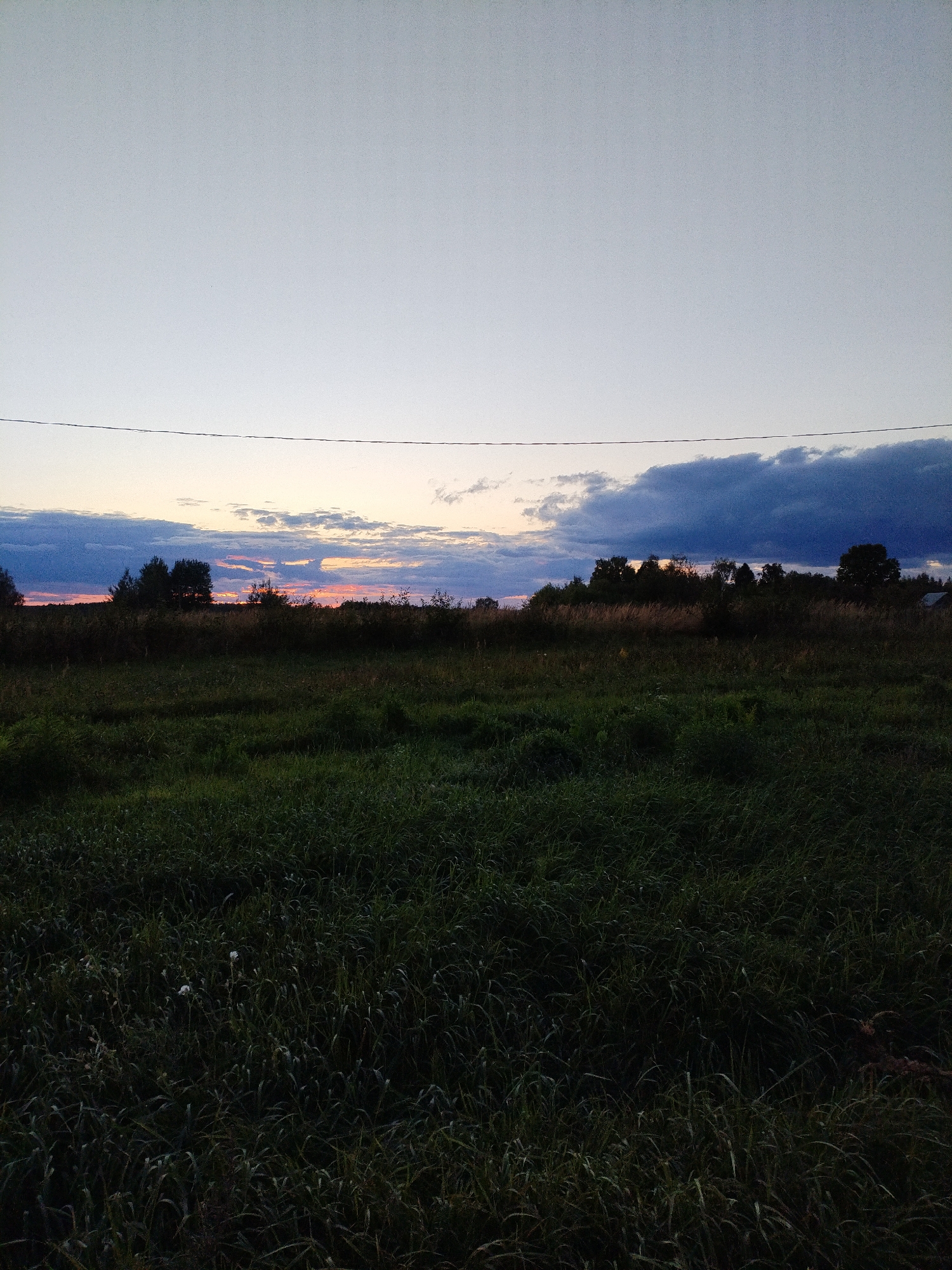 The image depicts a rural landscape at dusk, possibly near Bialynichy, Belarus. The foreground is dominated by a dark, lush field of tall grass, with a few sparse white flowers visible. In the middle ground, a line of trees and vegetation stretches across the horizon, silhouetted against the colorful sky. The sky itself displays a gradient of pale blue at the top, transitioning to soft pinks and oranges near the horizon, where scattered clouds are tinged with a deep blue. A thin, dark wire stretches horizontally across the upper portion of the image, suggesting the presence of a utility line. The overall mood is tranquil and serene, capturing the transition from day to night in a natural setting. There are no people or animals visible in the image.