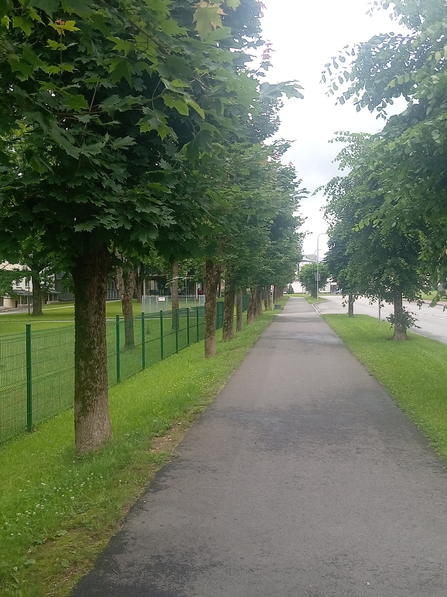 This image depicts a paved pathway bordered by a green wire fence and a row of trees on the left, and a grassy area and a street on the right. The pathway recedes into the distance, leading towards buildings and more trees. The scene appears to be in a public space, possibly a park or a sidewalk along a street. The sky is overcast. There are no people or animals visible in the frame. The environment is characterized by lush green vegetation and well-maintained infrastructure. The location is identified as Tapa, Estonia, suggesting an urban or suburban setting with ample green spaces.