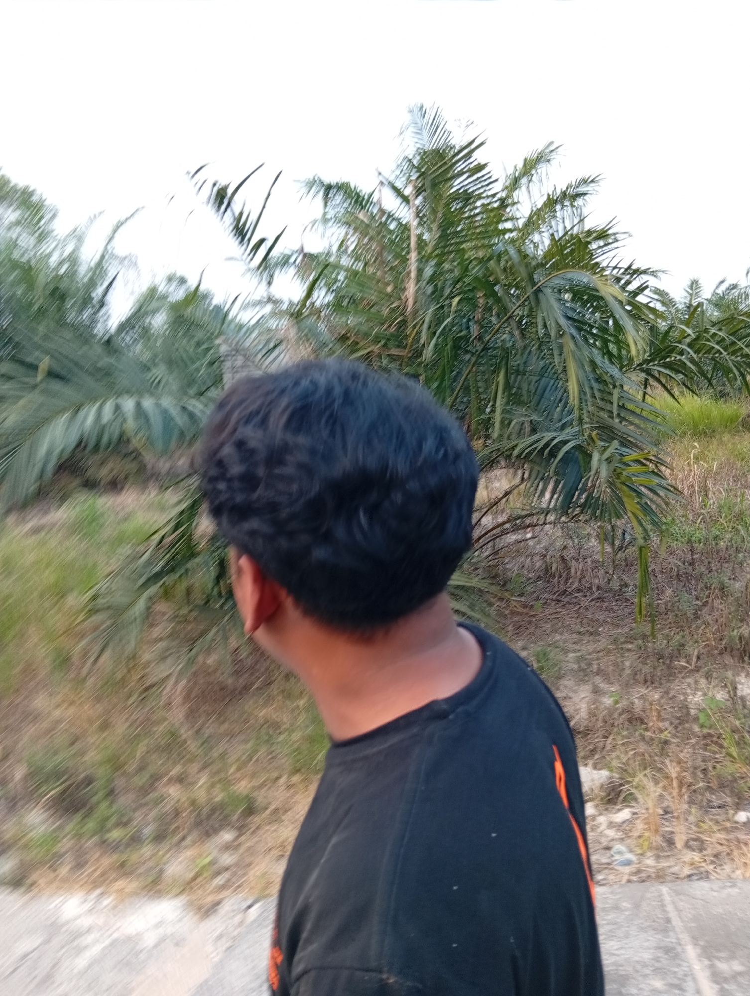 A person wearing a black t-shirt is seen from behind, with their head turned to the left, in a blurry outdoor environment. They have dark, curly hair. The background consists of palm trees and dry grass, suggesting a tropical or subtropical location, possibly a plantation. The ground in the foreground appears to be a concrete path or road. The image is captured in Kualu, Indonesia.