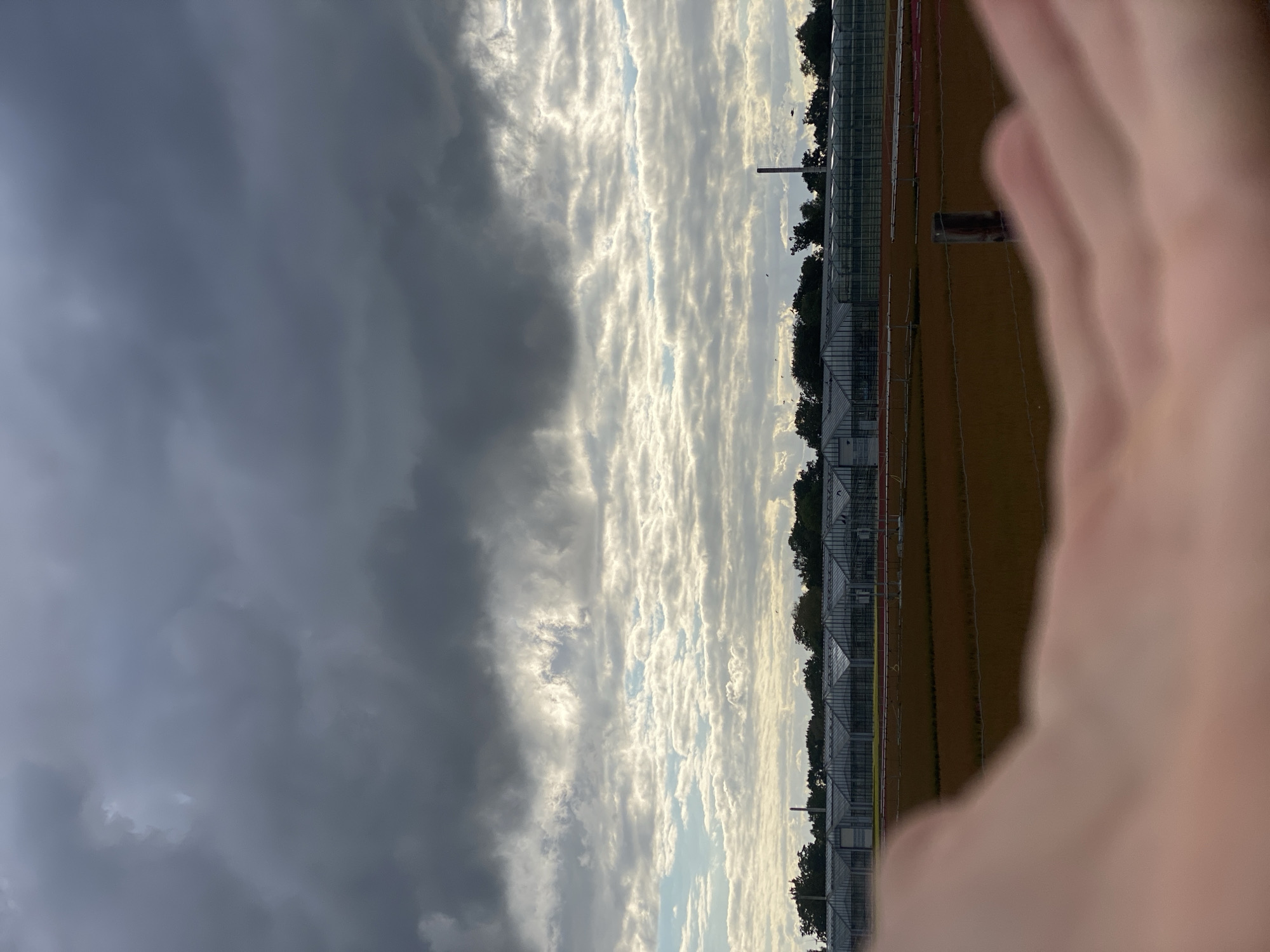 This image captures a field with a row of greenhouses in the background, set against a dramatic sky filled with dark and light clouds. In the foreground, the blurred image of a person's hands and fingers obscures the lower portion of the scene. The greenhouses, appearing as long, glass-roofed structures, are situated behind a treeline. A tall, slender smokestack or tower is visible rising above the greenhouses and trees. The field in front of the greenhouses appears to be cultivated with rows of plants or crops, exhibiting a reddish-brown hue. The sky is characterized by a stark contrast between the heavy, dark clouds at the top and lighter, more broken clouds below, suggesting an overcast or rapidly changing weather condition. The location is identified as Schwarme, Germany.