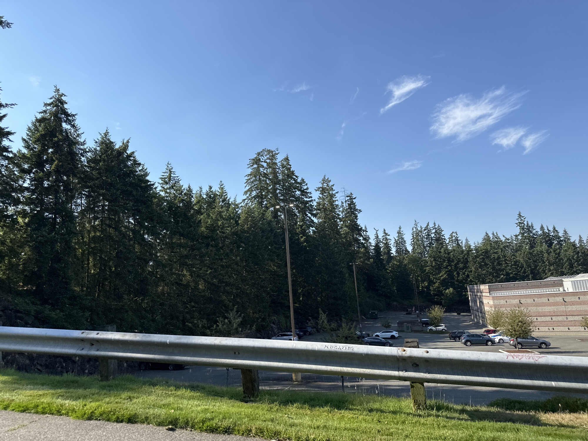 A wide shot captures a sunny day in Lynnwood, Washington, with a clear blue sky dotted with wispy clouds. In the foreground, a weathered metal guardrail runs horizontally, positioned above a patch of vibrant green grass. Beyond the guardrail, a paved surface, likely a parking lot, is visible, occupied by several parked cars including a white SUV, a dark sedan, and a grey hatchback. A modern building with brick and white accents, appearing to be a commercial establishment or office, is situated on the right side of the frame. A dense line of tall evergreen trees borders the scene on the left and in the background, creating a natural backdrop.