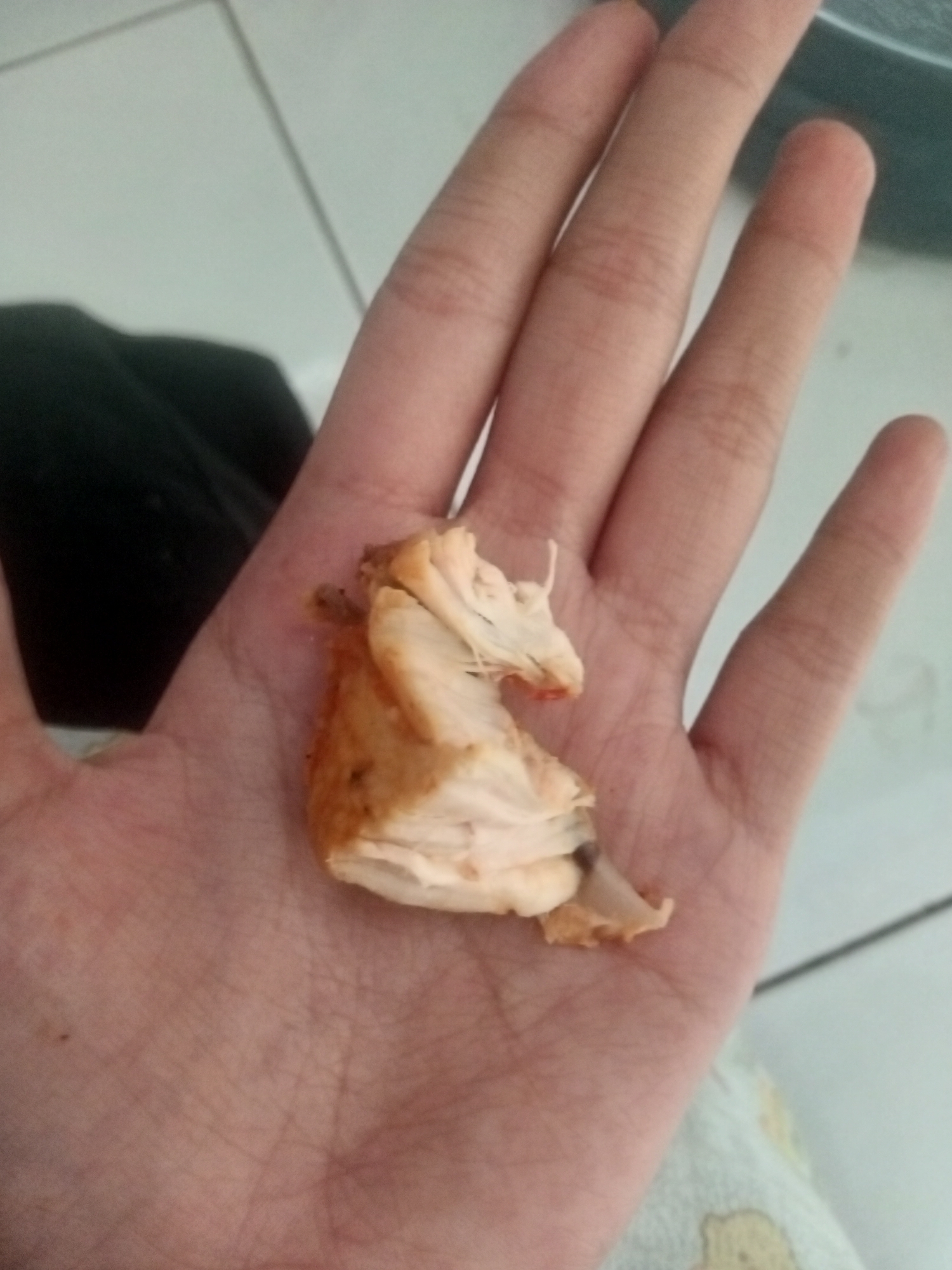 A close-up, overhead shot shows a person's left hand palm-up, cradling a small piece of cooked chicken. The chicken appears to be shredded, with visible white meat and some browned edges. The hand has light skin with visible lines and a few small dark spots. The background is blurry, with what appears to be a tiled floor. The scene is set in an indoor environment, possibly a home. The location of Badas, Indonesia, is not determinable from the image.