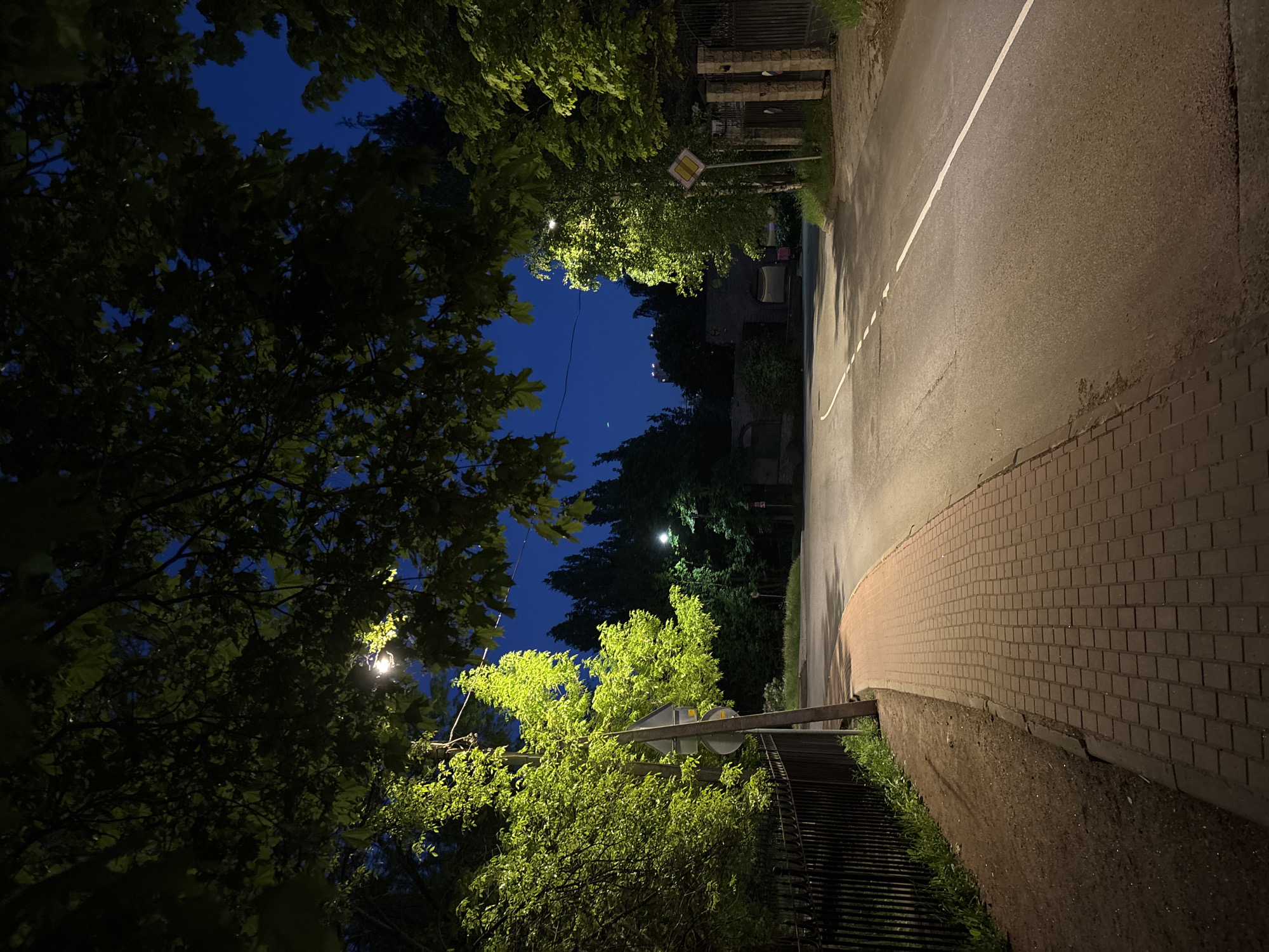 The image shows a street scene at night in Saint Petersburg, Russia. The view is along a road with a white center line and a brick-paved sidewalk. Trees line both sides of the road, obscuring the night sky except for a small opening. A yellow diamond-shaped road sign is visible on the right side of the road. A street lamp provides illumination, casting light on the trees and road. A dark fence is visible on the lower right side of the image.