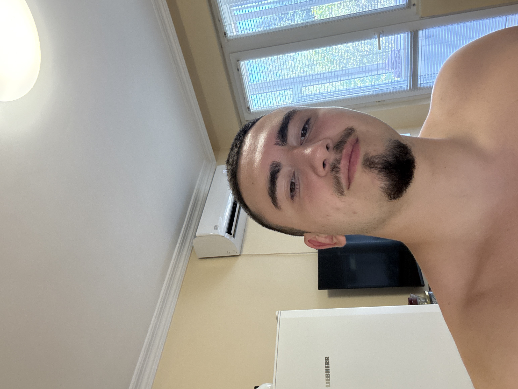 An indoor, eye-level, close-up photograph captures a young adult male, likely in a selfie-style composition, situated in a residence in Vidin, Bulgaria. The subject, a male with short dark hair, a mustache, and a prominent goatee, looks directly into the camera with a neutral expression. He is shirtless, revealing his shoulders and upper chest.
The background to the left of the subject features a white Liebherr refrigerator, partially visible, with the brand name clearly displayed. Above the refrigerator, the wall is painted a light yellow/beige. To the right of the subject, a white, horizontally mounted air conditioning unit is visible on the same light yellow/beige wall. Below the air conditioner, a dark, rectangular object, possibly a television screen, is partially obscured. Further to the right, a large window with white frames and white venetian blinds allows ambient light and a view of green foliage outside.
The ceiling is white with decorative white crown molding running along the perimeter. An oval-shaped, illuminated white ceiling light fixture is visible in the upper portion of the frame.