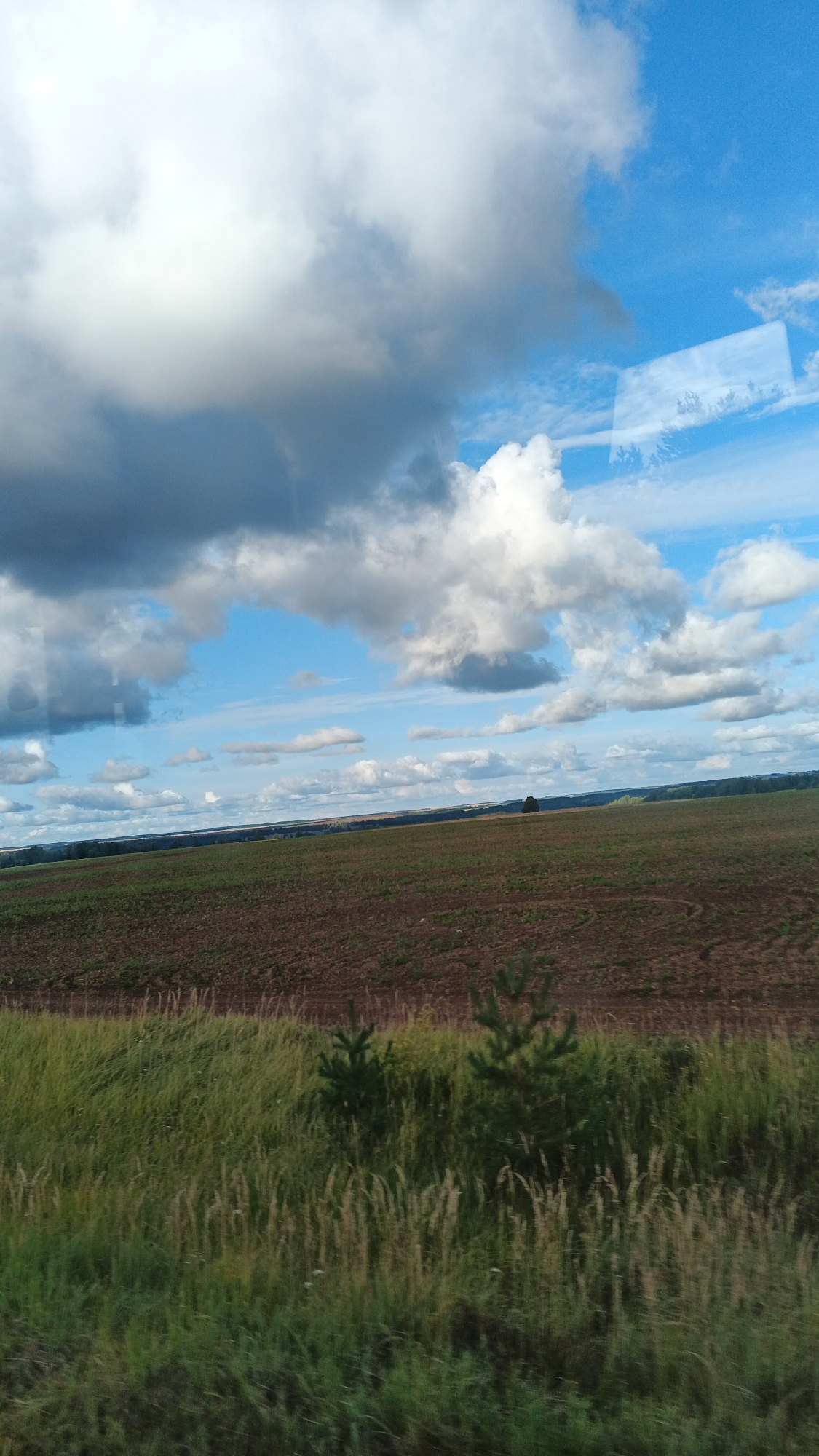 The image depicts a rural landscape under a dramatic sky filled with both dark, heavy clouds and bright, fluffy white clouds against a vivid blue sky. In the foreground, tall green grass and reeds are visible, with two small pine trees interspersed. Behind the grass is a large, tilled field, appearing dark brown and somewhat uneven. Further in the distance, the land stretches out with more fields and a line of trees, forming a low horizon. A single, solitary tree stands in the middle ground of the field. The overall impression is one of an expansive, open, and somewhat wild natural environment. The scene is consistent with the rural setting of Киясово, Russia, known for its agricultural lands and natural beauty. There are no people or structures visible in the image.