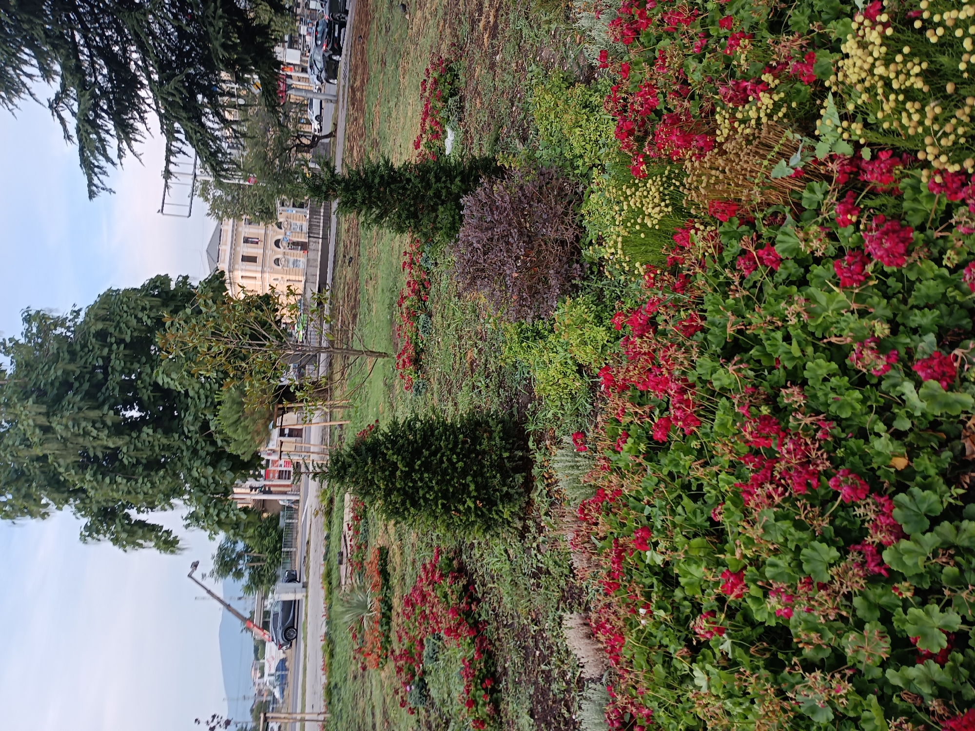 The image depicts a street scene with a landscaped garden in the foreground. The garden features a variety of plants, including red geraniums, small evergreen trees, and other flowering plants. In the background, a large, ornate yellow building with a classical architectural style is visible. A street with cars and a crane can be seen to the left of the building. The sky is overcast. This scene is likely located in Plovdiv, Bulgaria, specifically along one of the main boulevards near the city center, given the architectural style of the building and the presence of a crane, suggesting ongoing urban development or maintenance.