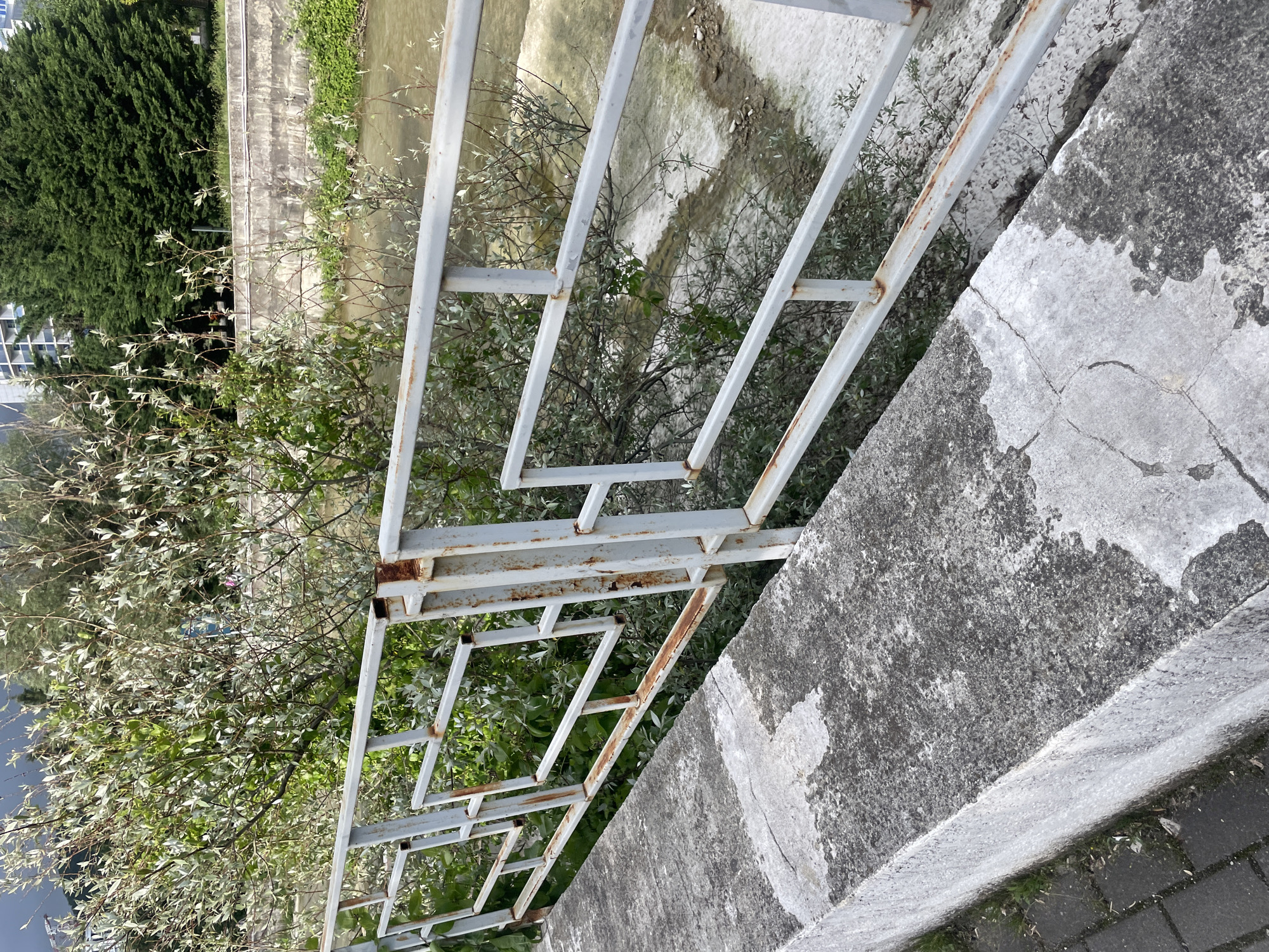 A close-up, angled, outdoor shot depicts a weathered gray metal railing, showing some rust, juxtaposed against a concrete wall. Green foliage, including trees and shrubs, is visible behind the railing, partly obscuring a body of water with a concrete bank. The vegetation extends to the left side of the frame, with a glimpse of a building visible in the upper left. Gray pavement with some vegetation can be seen to the right of the wall. This scene could be located along a river or canal in Olginka, Russia, based on the available visual information.