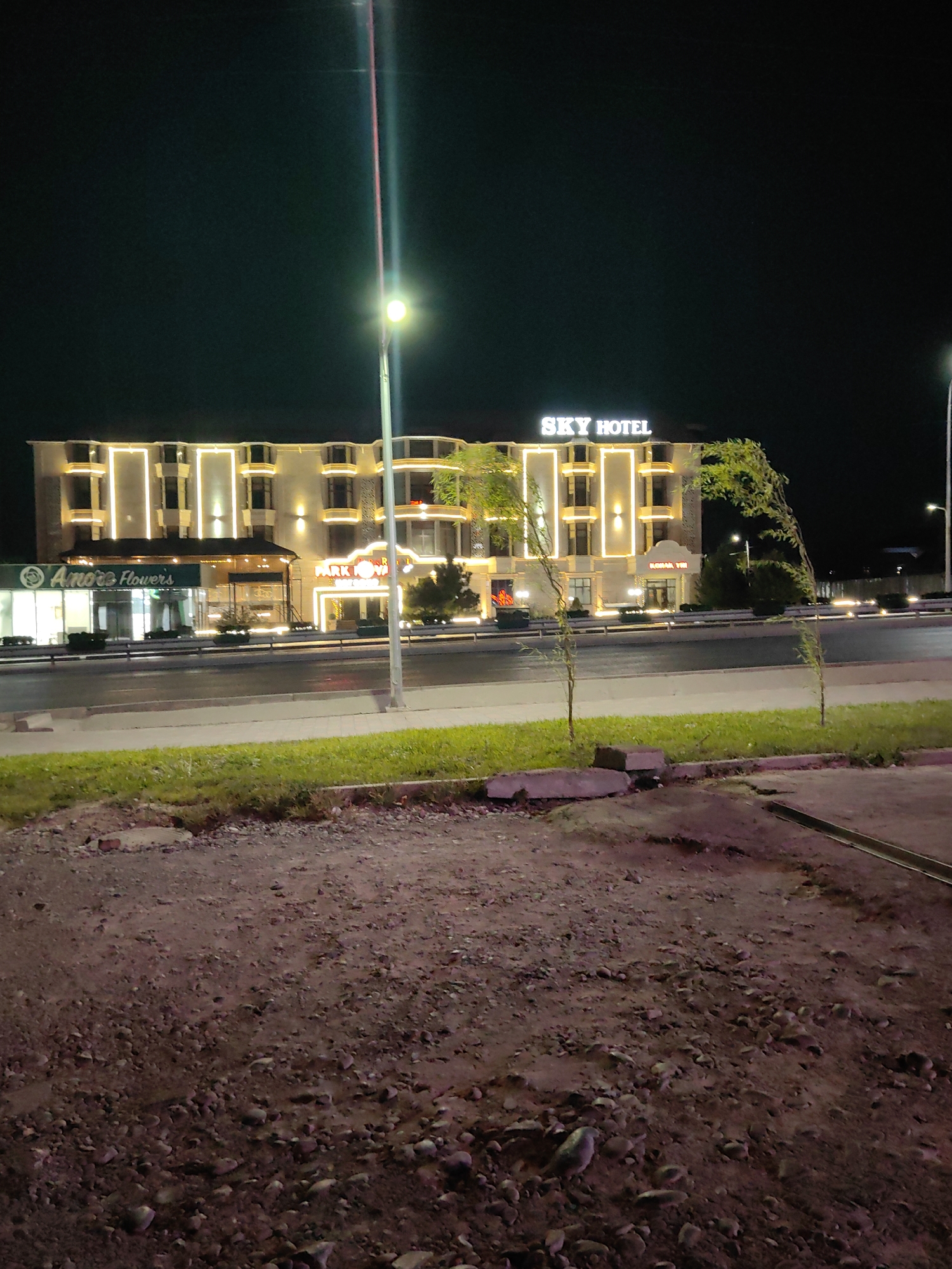 The image depicts a nighttime scene in Shymkent, Kazakhstan, showcasing the "SKY HOTEL" building. The hotel, illuminated by numerous lights, is a multi-story structure with distinct architectural features. To the left of the hotel, a storefront with a green awning displays the words "Amore Flowers" in white lettering. Adjacent to this, a business labeled "PARK ROYAL" is also visible.
The hotel's facade is adorned with vertical and horizontal light fixtures that highlight its modern design. Trees with lit branches are strategically placed in front of the building. A street with visible road markings separates the hotel from the foreground. The foreground itself consists of a rough, unpaved ground covered with gravel, stones, and patches of dry grass. A concrete drainage channel runs along the right edge of the foreground. A tall lamppost with a glowing light source stands prominently in the middle ground, casting illumination on the scene. The sky is dark and clear, indicating nighttime. There are no people visible in the image.