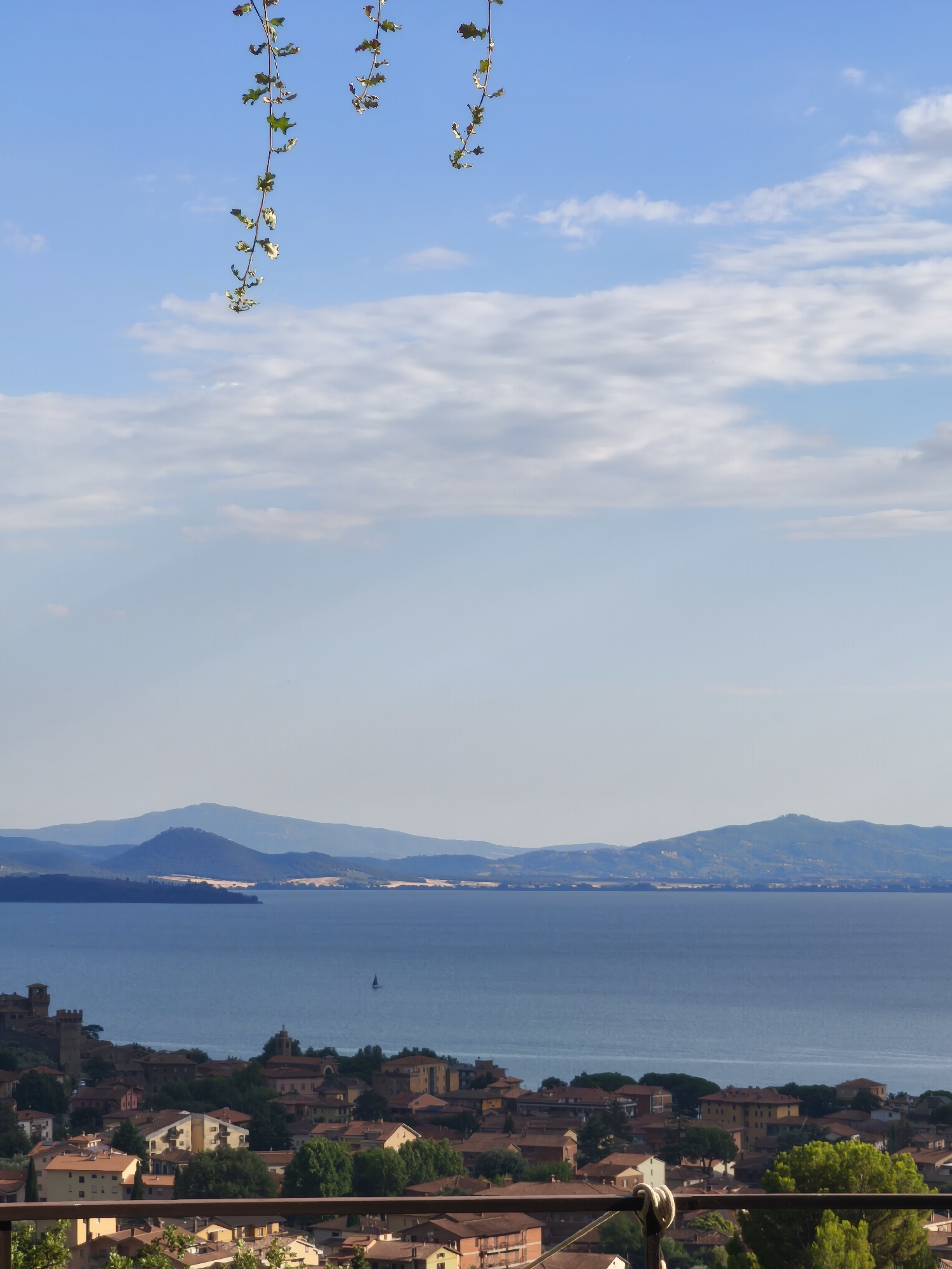 The image captures a scenic view of Passignano sul Trasimeno, Italy, with the tranquil Lake Trasimeno as the dominant feature. In the foreground, a rustic metal railing is visible, adorned with a few green leaves, hinting at an elevated vantage point. Beyond the railing, a charming Italian town unfolds, characterized by terracotta-tiled roofs and buildings with muted, earthy tones. A prominent medieval tower stands sentinel amidst the urban landscape, adding a historical touch.
The shimmering expanse of Lake Trasimeno stretches out towards a backdrop of distant, hazy blue mountains. A lone sailboat gracefully navigates the calm waters of the lake, a small white triangle against the vast blue. The sky above is a vibrant blue, dotted with fluffy white clouds, creating a sense of depth and serenity. Hanging vines with small leaves frame the top of the image, adding a touch of natural beauty to the overall composition. The scene evokes a peaceful and picturesque atmosphere, typical of the Italian countryside.