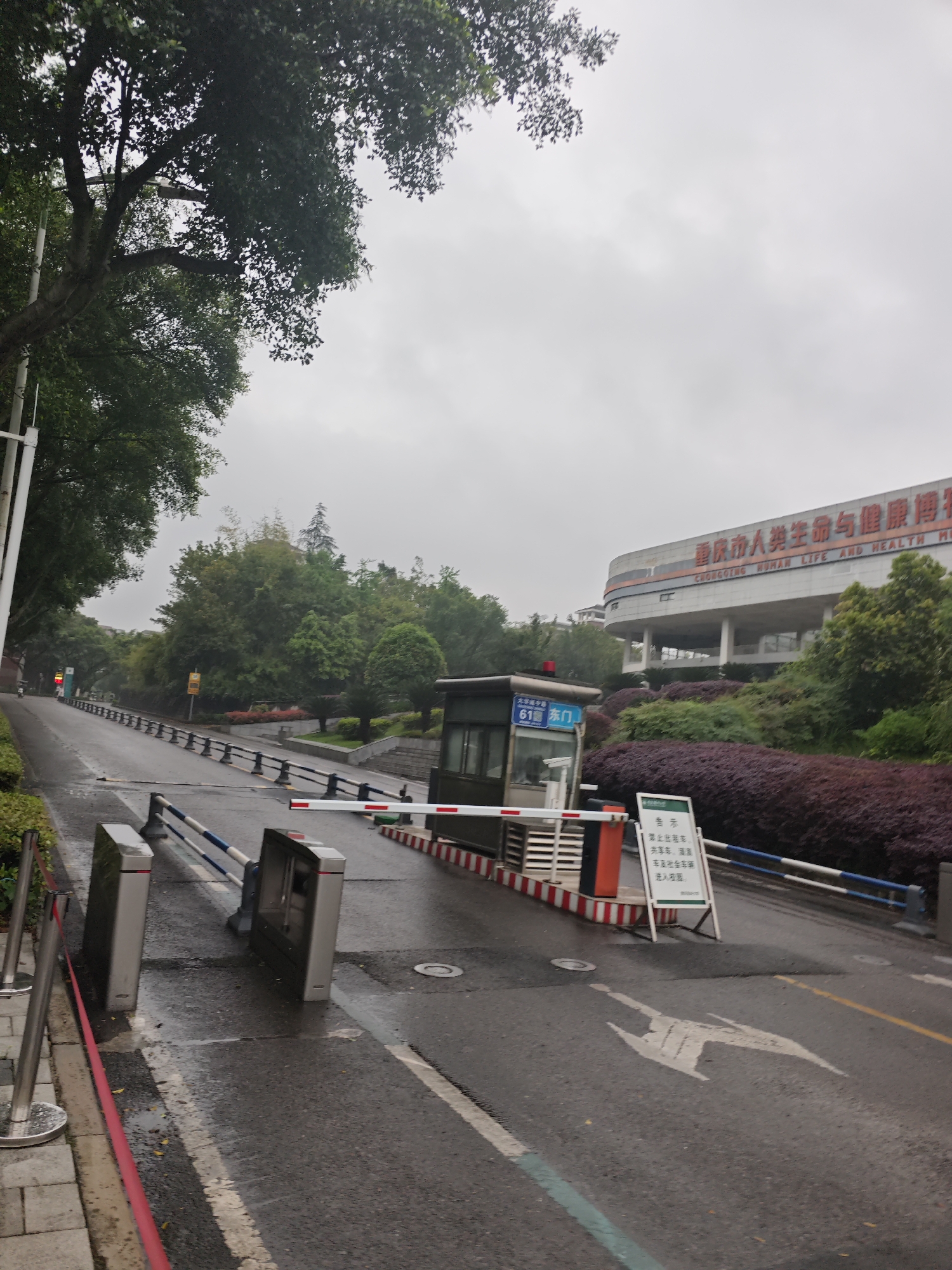 The image shows the entrance to the Chongqing Human Life and Health Museum in the Chongqing High-tech Zone, China. The entrance is a guarded gate with a security booth labeled "61 East Gate" in Chinese. A barrier arm is in place to control access. A sign next to the gate prohibits taxis, shared cars, Didi cars, and other social vehicles from entering the campus. A large white arrow is painted on the road indicating the direction of travel. The sky is overcast and the road is wet, suggesting recent rain. A building with the inscription "CHONGOING HUMAN LIFE AND HEALTH MUSEUM" is visible in the background amidst trees and bushes. Bushes with purple leaves are seen in the scene. Trees line the road leading towards the entrance. There are barriers on the side of the road.