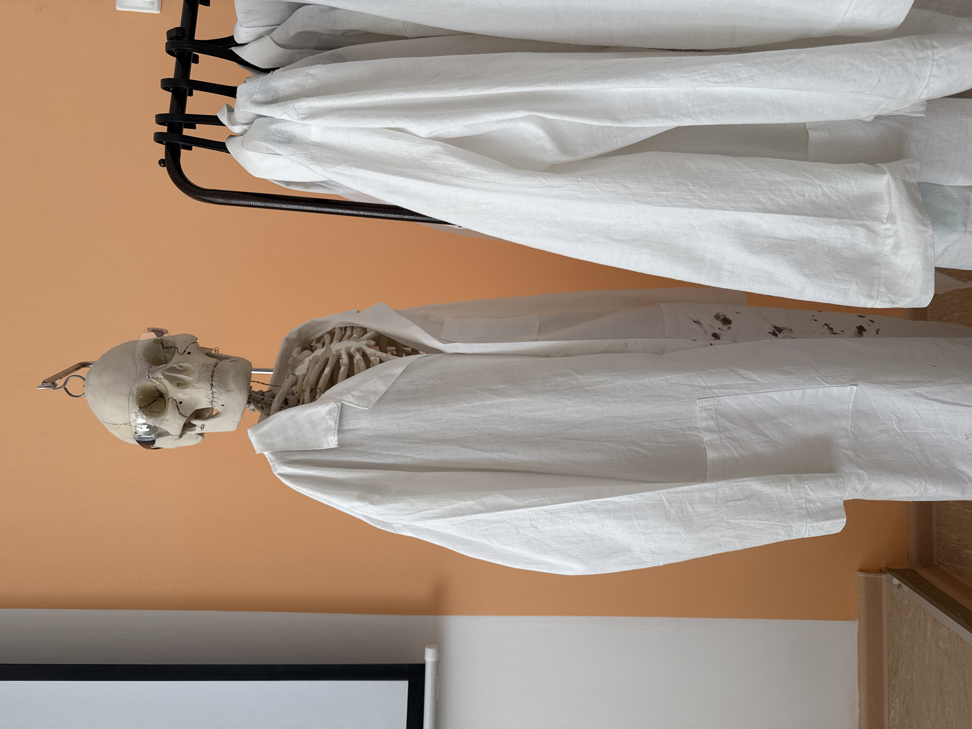 In Chaikovsky, Russia, a skeleton wearing eyeglasses and a white lab coat stands in a room. More lab coats hang on a black rack above the skeleton. The walls are a gradient of white at the bottom and peach at the top. A projector screen is visible at the bottom left.