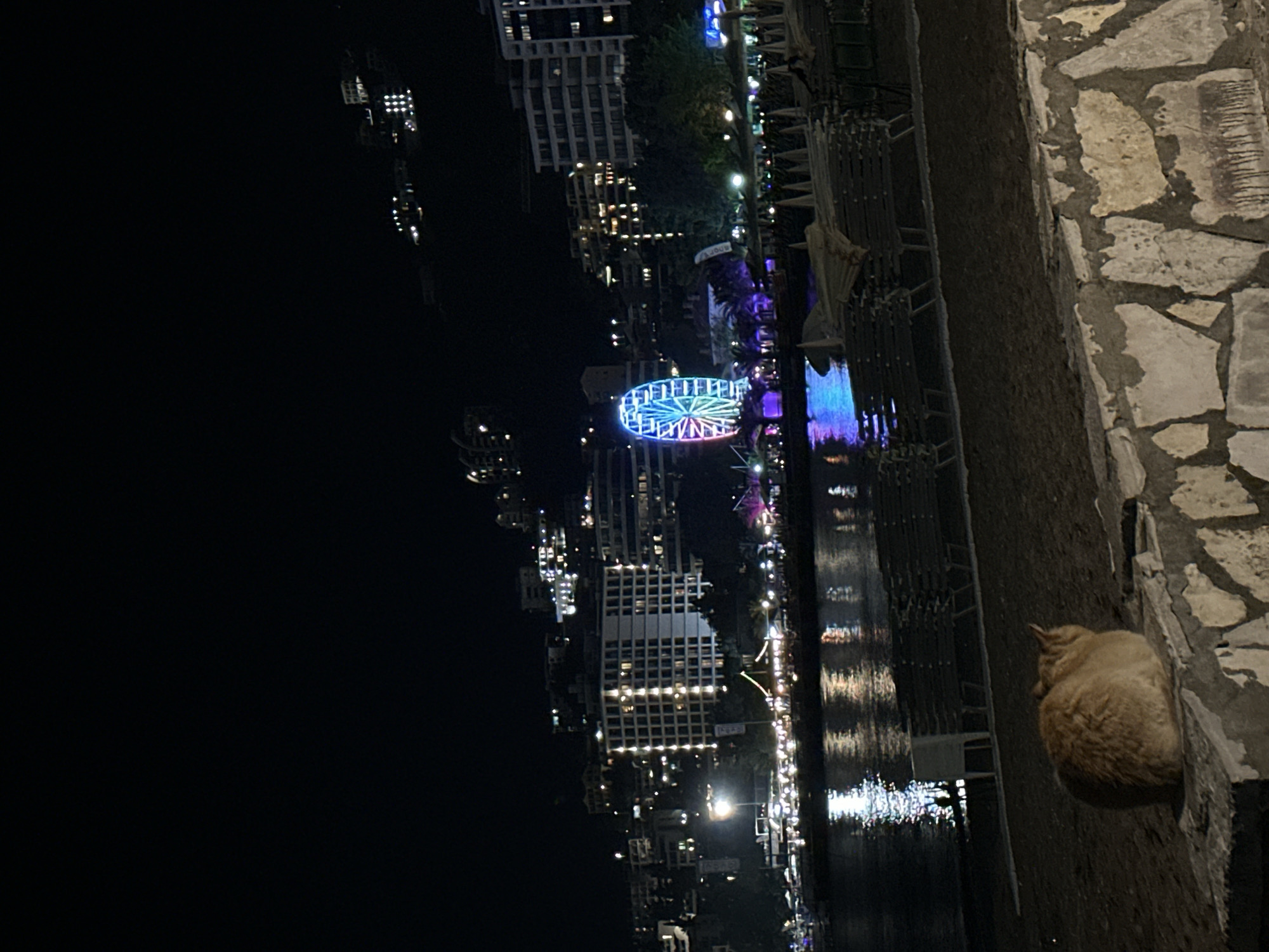 An orange cat is sitting on a stone wall in the foreground, facing away from the camera. Behind the cat is a beach with several rows of empty lounge chairs. In the middle ground, a body of water reflects the lights of a coastal city. A ferris wheel illuminated with colorful lights is visible in the distance, along with several buildings and the dark outline of a hill. The scene is set at night. The location is Bečići, Montenegro.