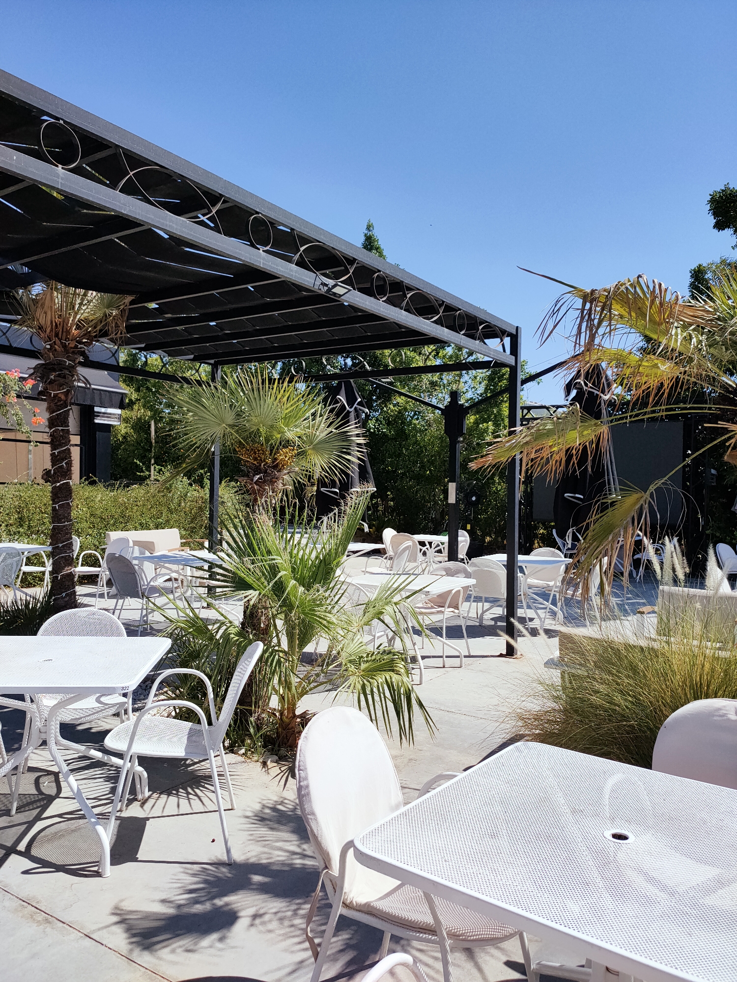 The image shows an outdoor seating area of a restaurant or cafe, likely in Tunis, Tunisia, on a sunny day with a clear blue sky. A black metal pergola with decorative circular accents covers a portion of the seating area. Several white metal tables and chairs are arranged on a concrete patio, surrounded by lush green foliage and palm trees. Some of the tables have umbrellas, and one table has a number "322" visible. The setting appears to be tranquil and inviting, with shadows cast by the palm trees and pergola across the ground. There are no people visible in the image.