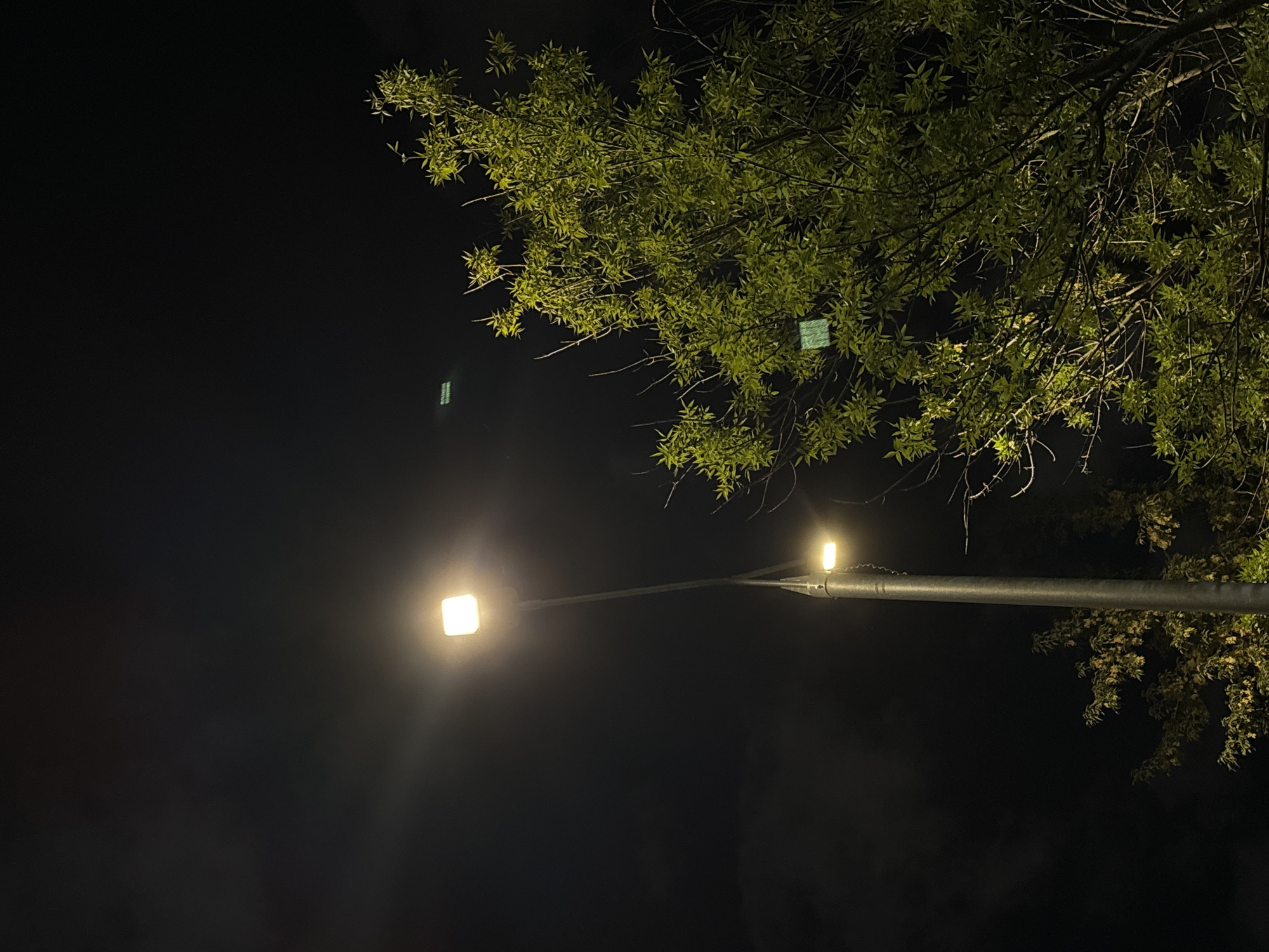 The image captures a nighttime street scene with a tall, silver lamppost as the central subject. The lamppost has two lights, one at the top, brightly illuminated, and another smaller one further down. The background is a dark, cloudy sky. To the right of the lamppost, a large, leafy green tree is visible, its branches illuminated by the artificial light. The foliage is dense, and some bare branches are also present. There are faint green rectangular shapes visible within the leaves of the tree, possibly due to reflections or lights. The setting appears to be an outdoor urban environment, likely a street or park, given the presence of the lamppost. There are no people or animals visible in the image. The overall mood is dimly lit and slightly surreal due to the artificial lighting on the natural elements. The image does not contain any information that can determine its location in Moscow, Russia.